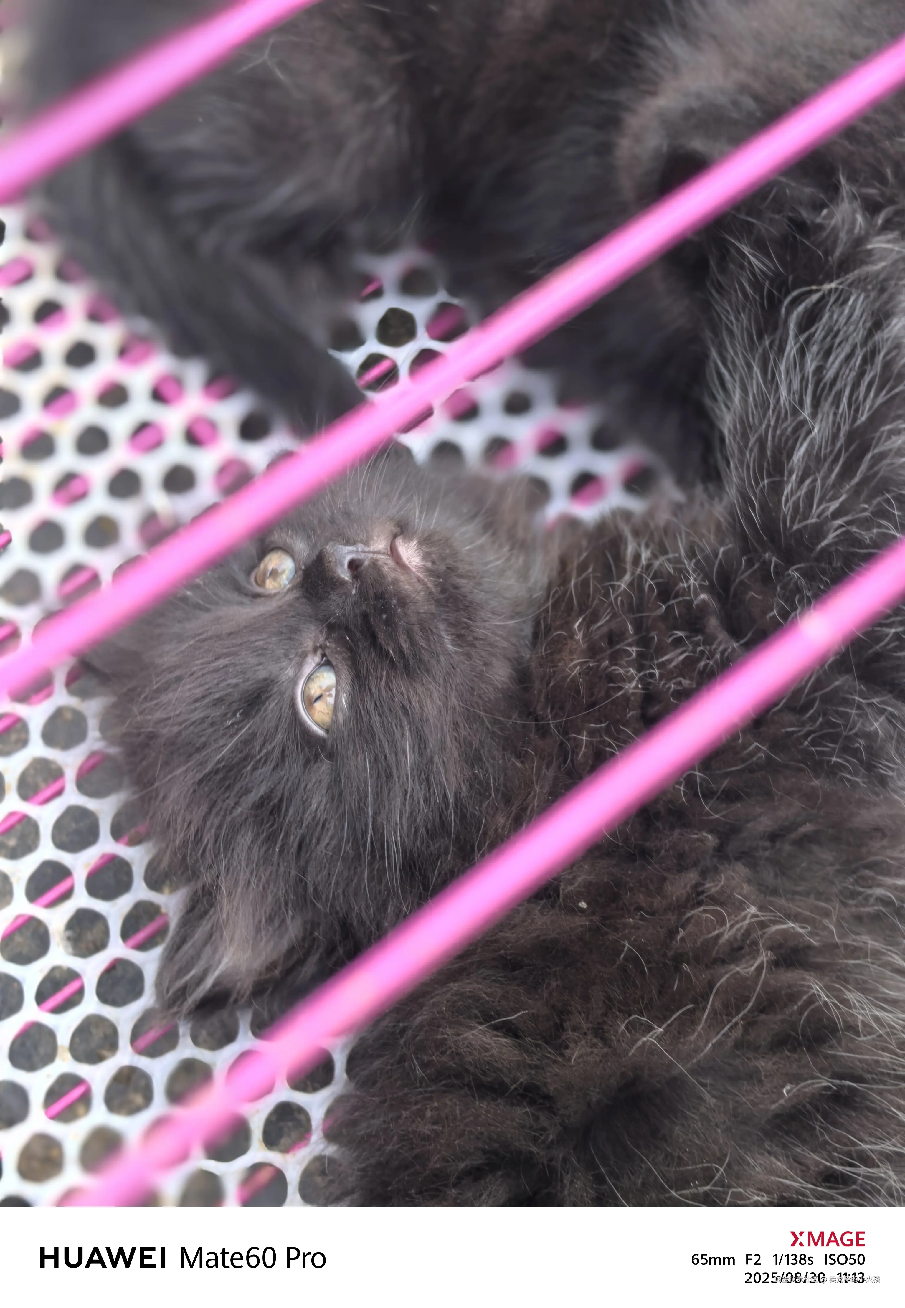 卖女柴的小火孩于2025-08-30 17:24发布的图片