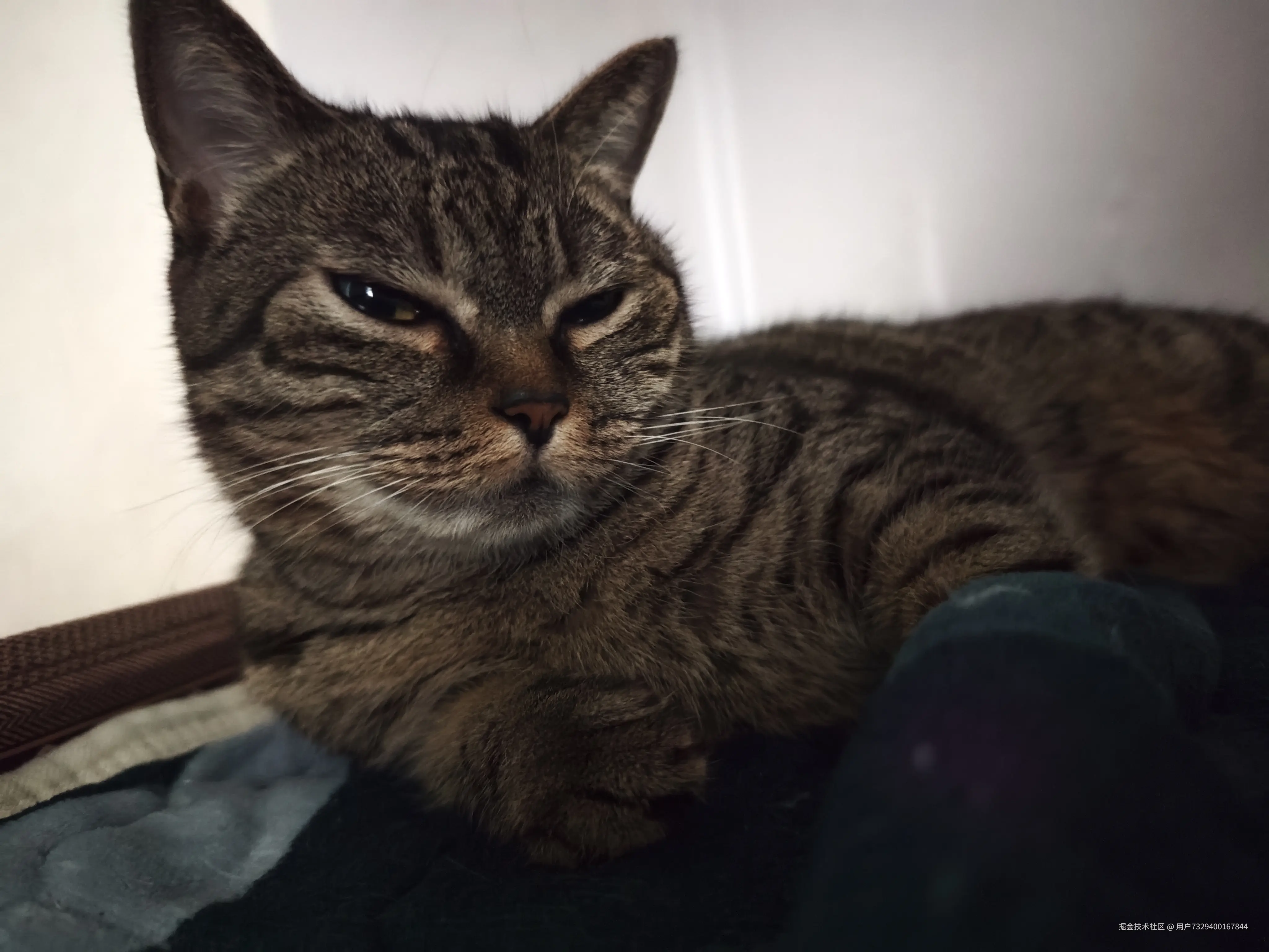 用户7329400167844于2025-10-30 10:15发布的图片