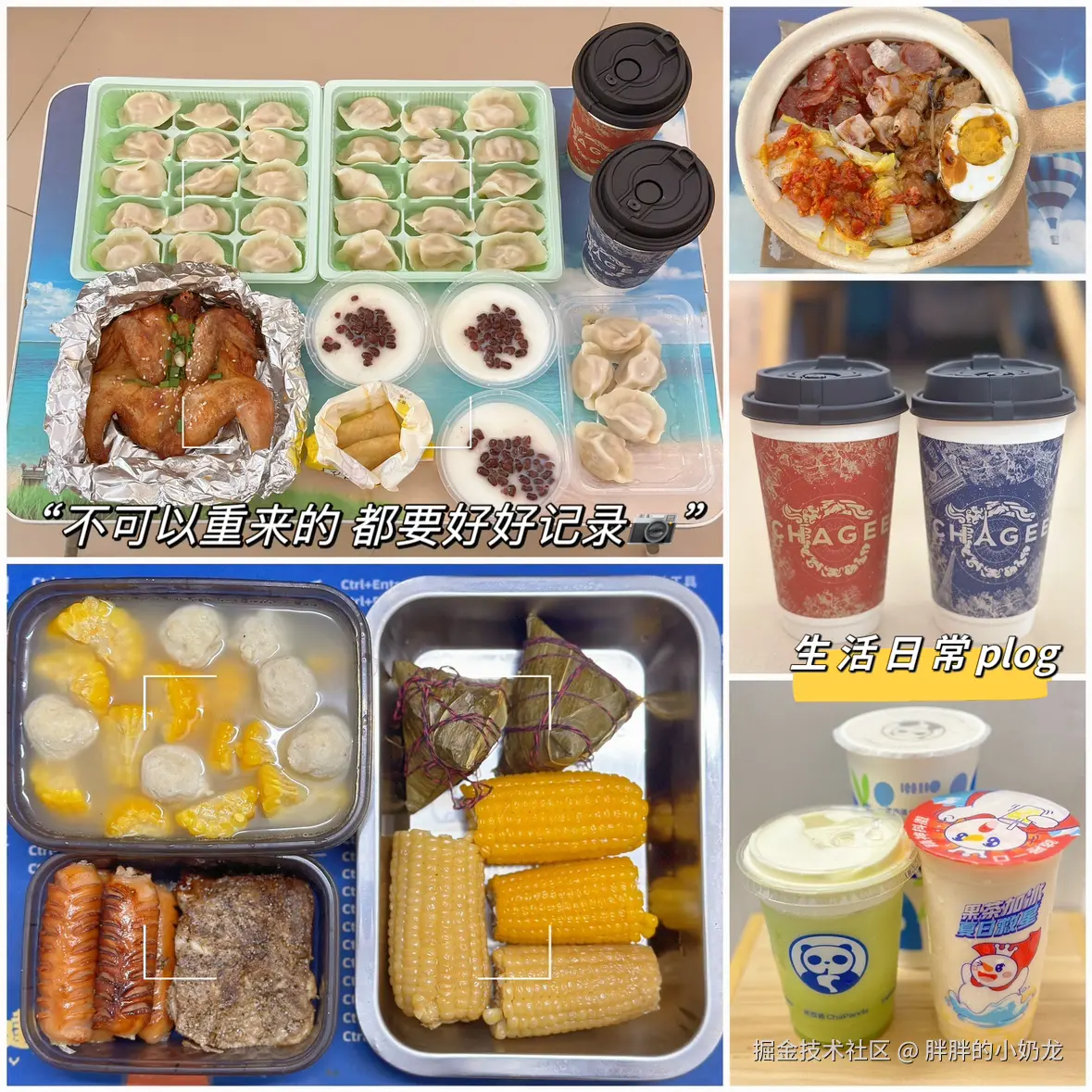 胖胖的小奶龙于2024-08-03 15:49发布的图片