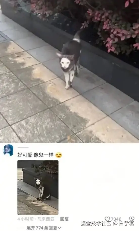 白手套于2025-07-08 03:00发布的图片
