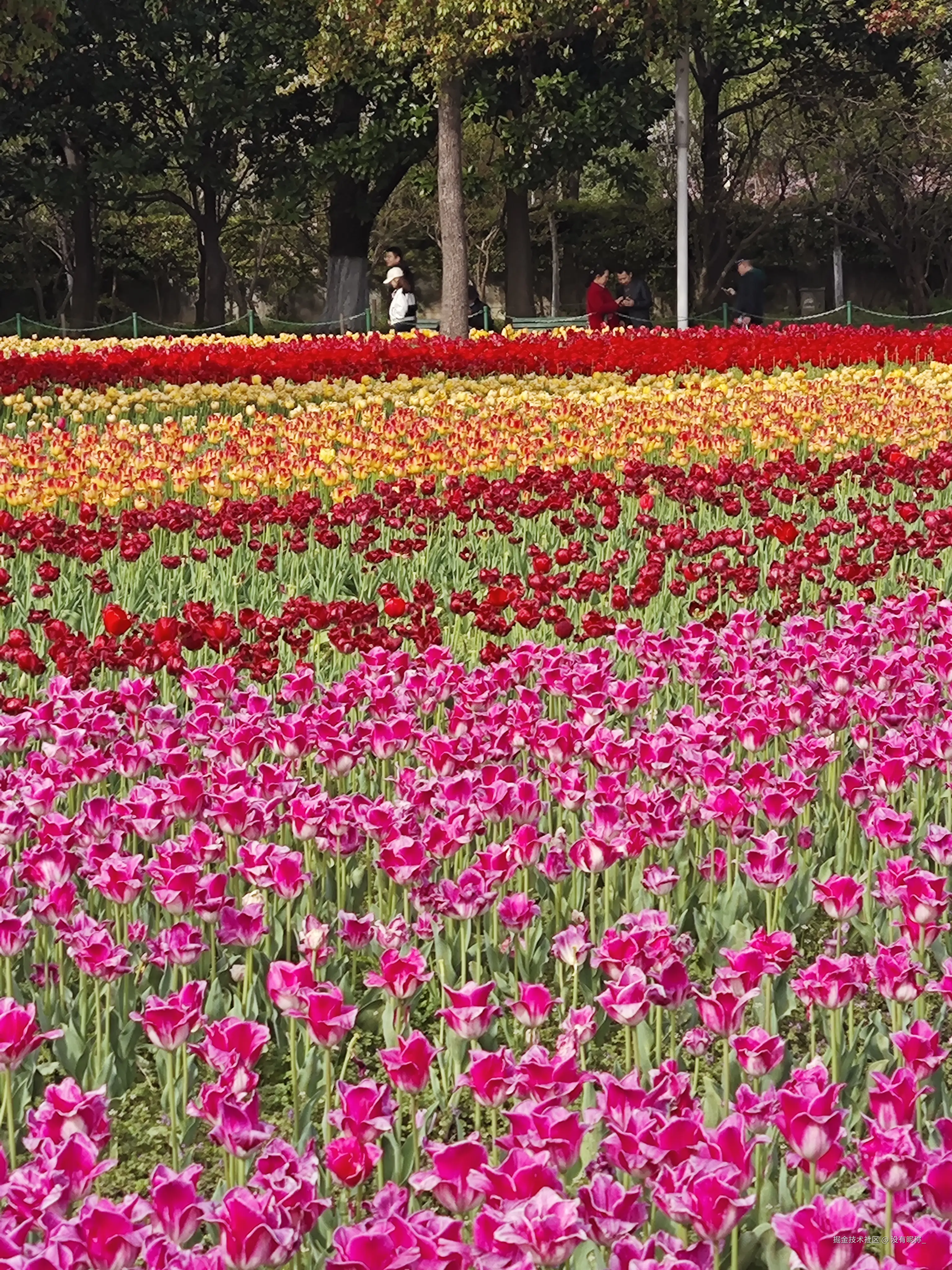 没有昵称_于2025-03-31 14:27发布的图片