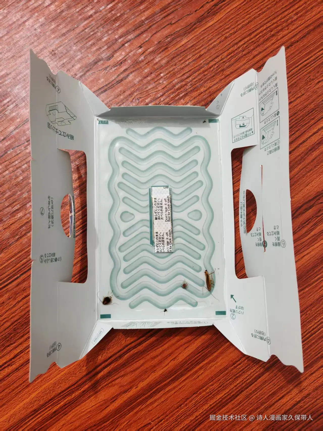 诗人漫画家久保带人于2025-08-18 09:33发布的图片