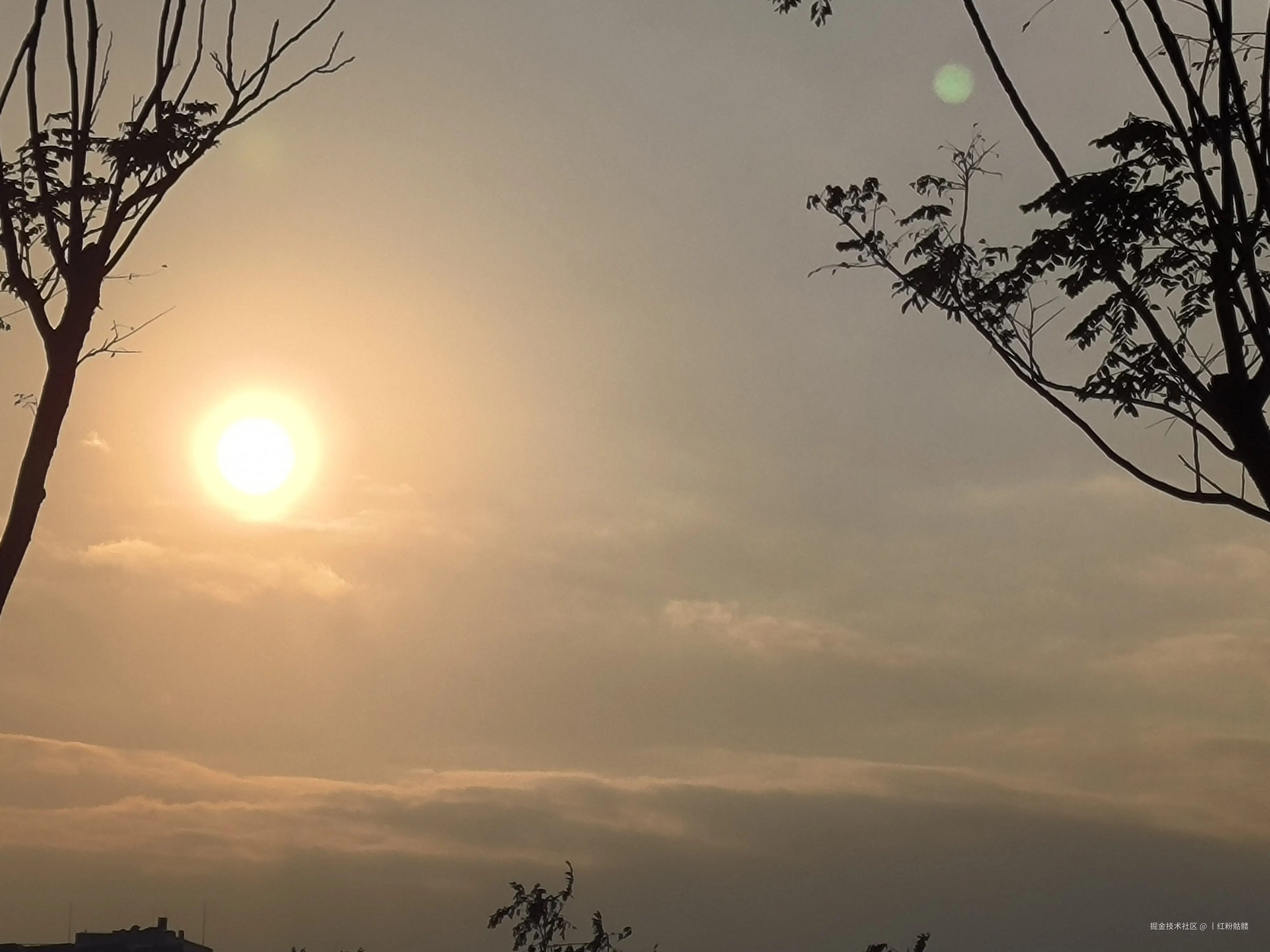 丨红粉骷髅于2025-01-14 14:00发布的图片