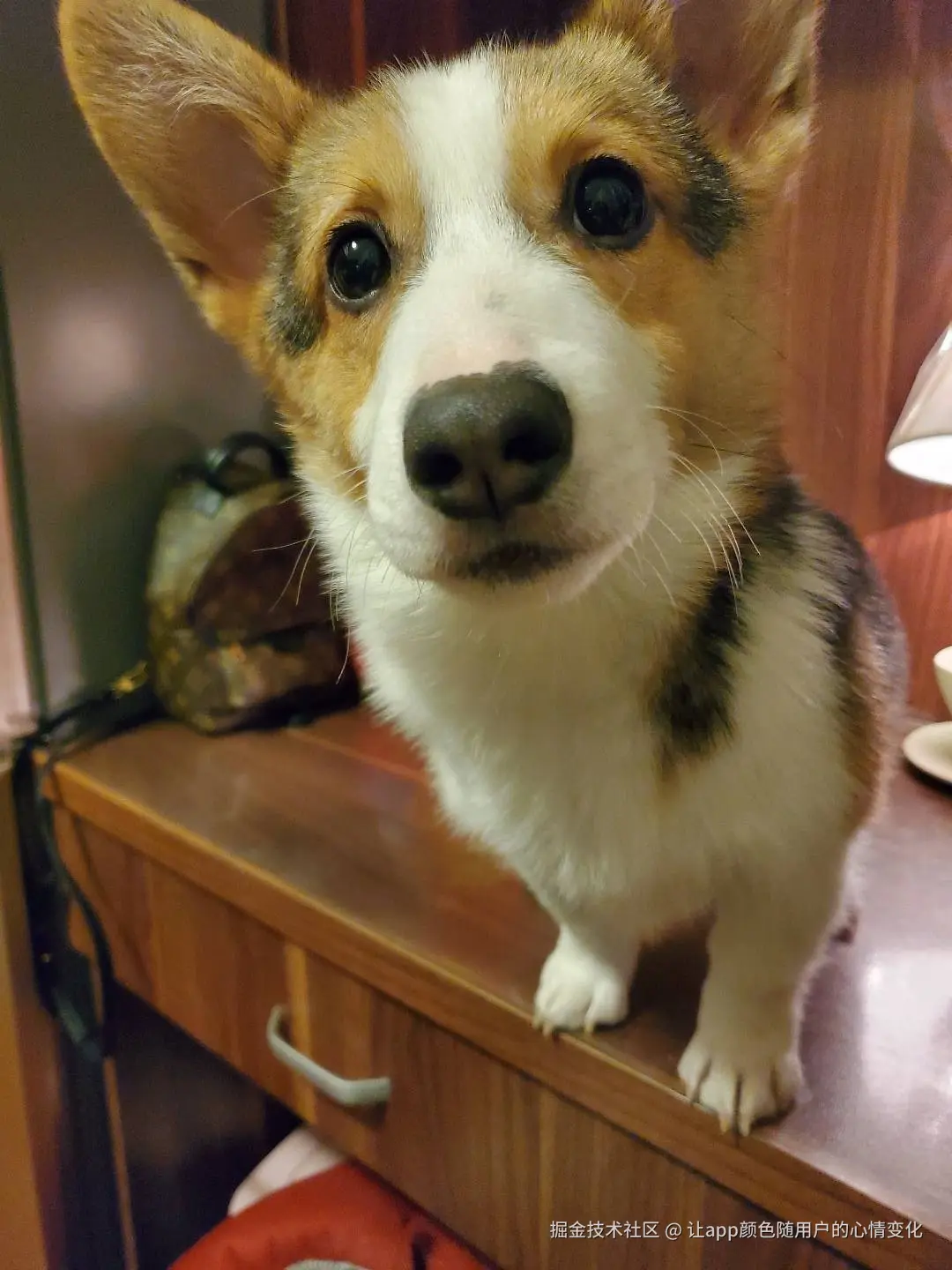 让app颜色随用户的心情变化于2024-08-22 09:26发布的图片