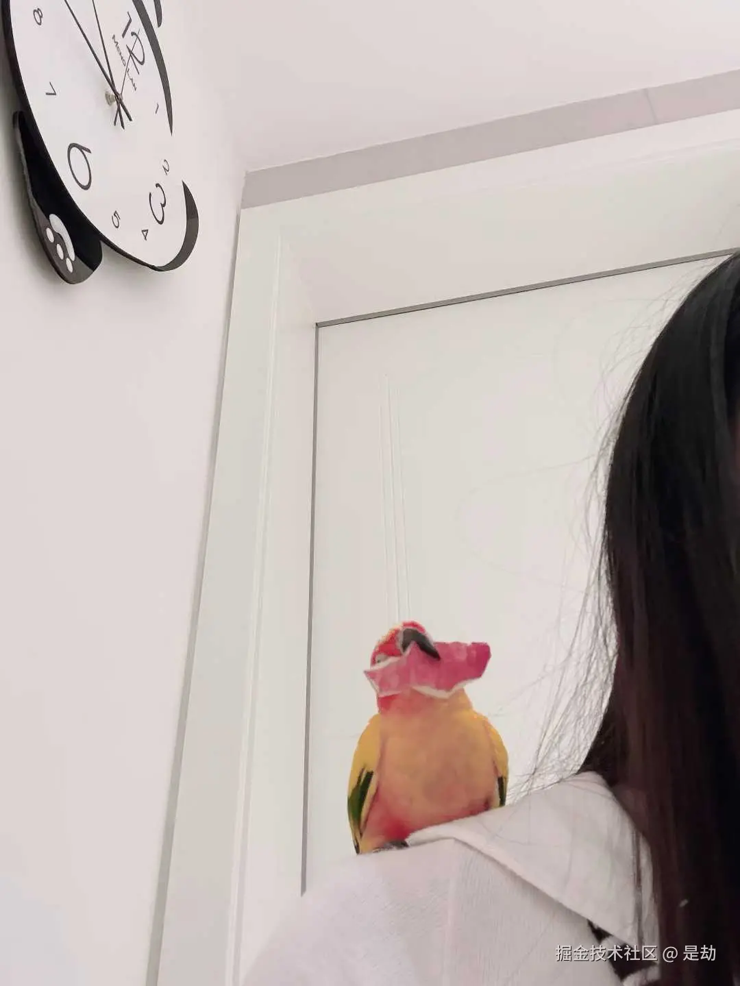 是劫于2025-12-25 10:07发布的图片