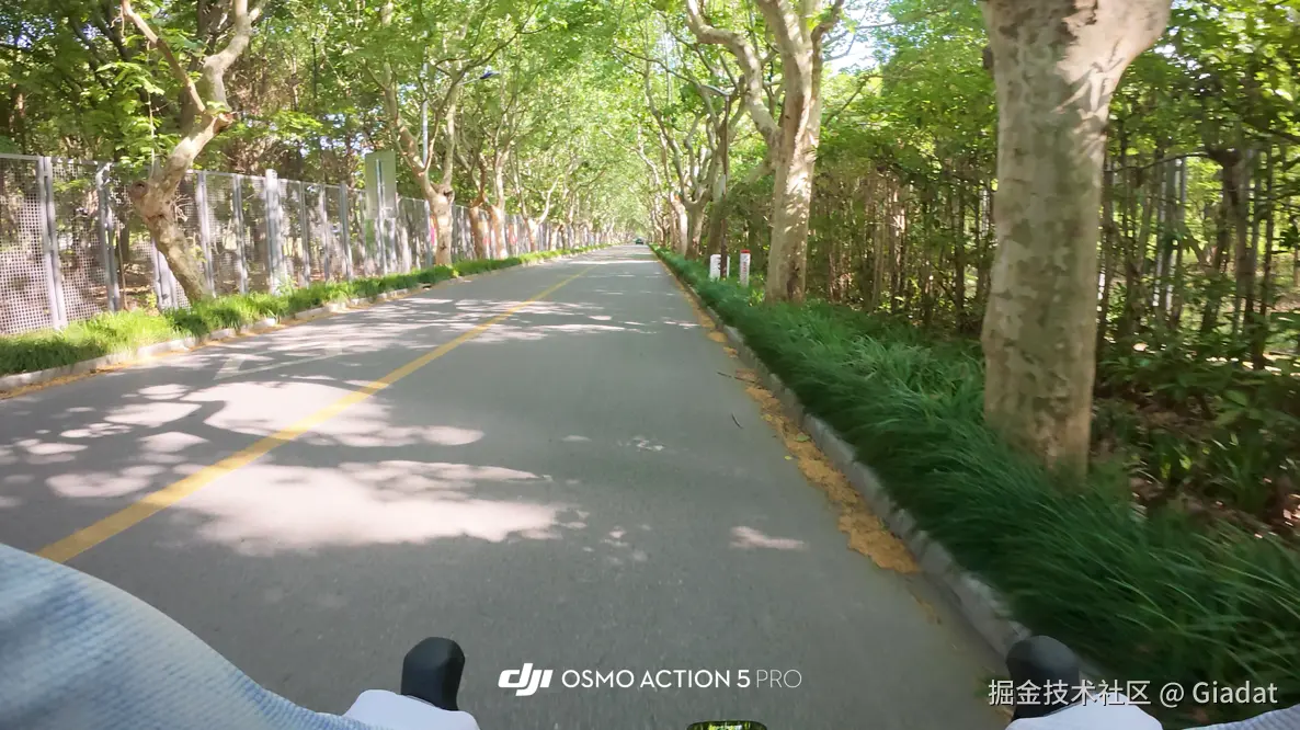 Giadat于2025-05-06 10:47发布的图片