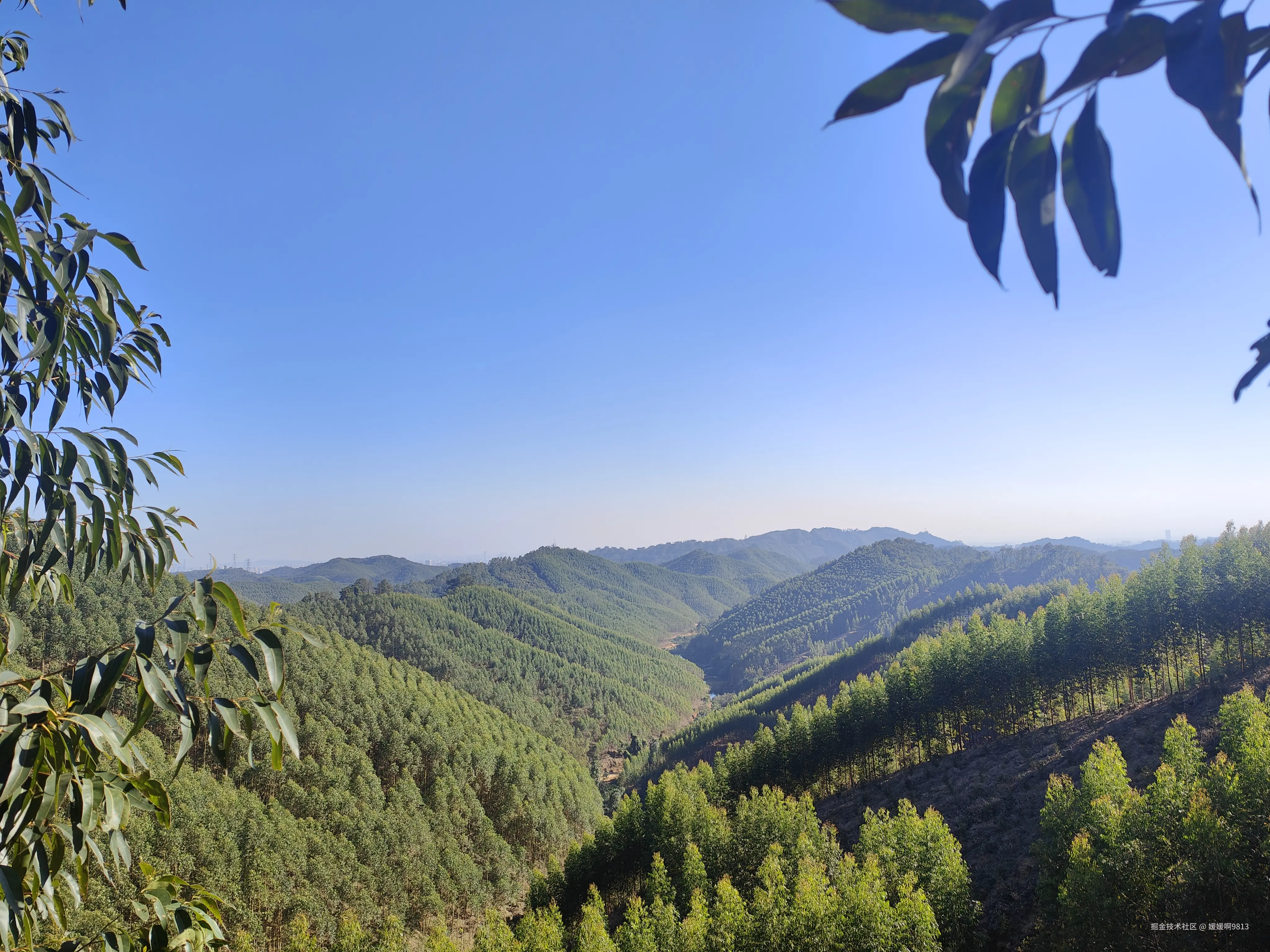 媛媛啊9813于2025-11-30 22:01发布的图片