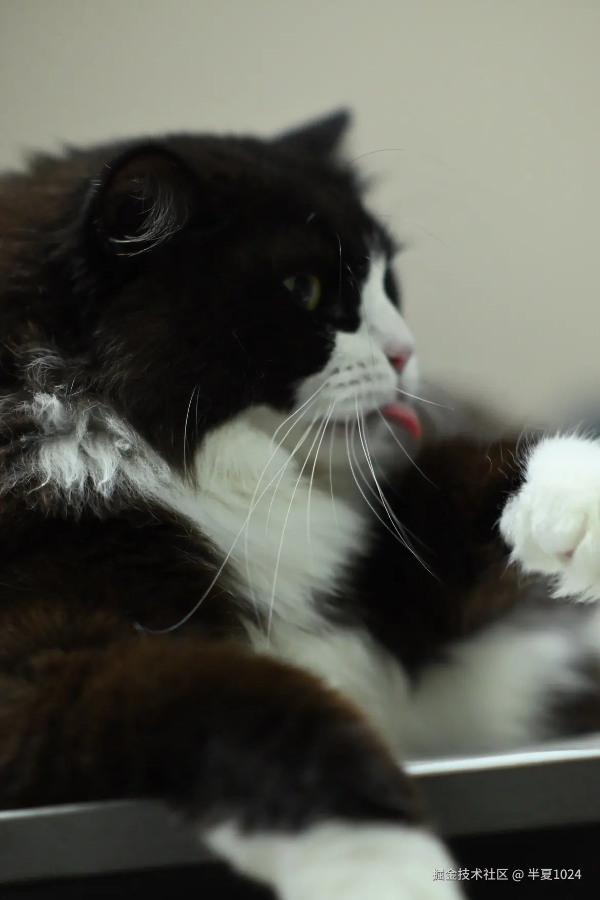 半夏1024于2024-08-19 10:37发布的图片