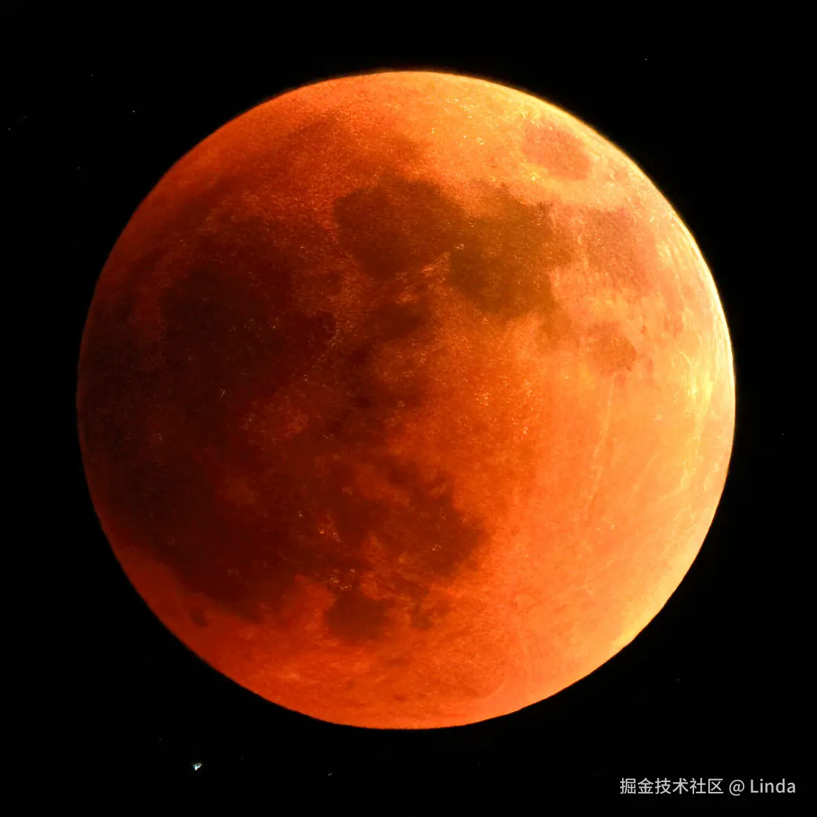 Linda于2025-09-08 09:51发布的图片