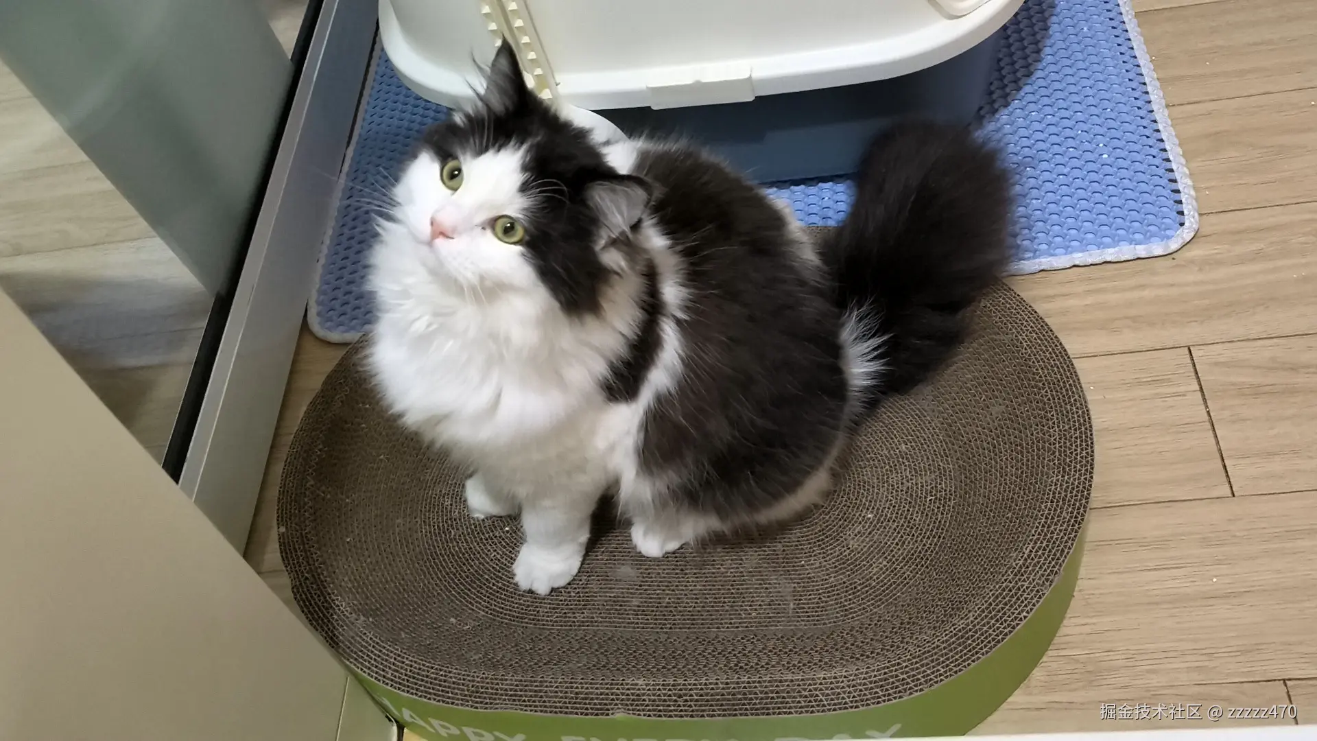 zzzzz470于2025-05-21 12:20发布的图片