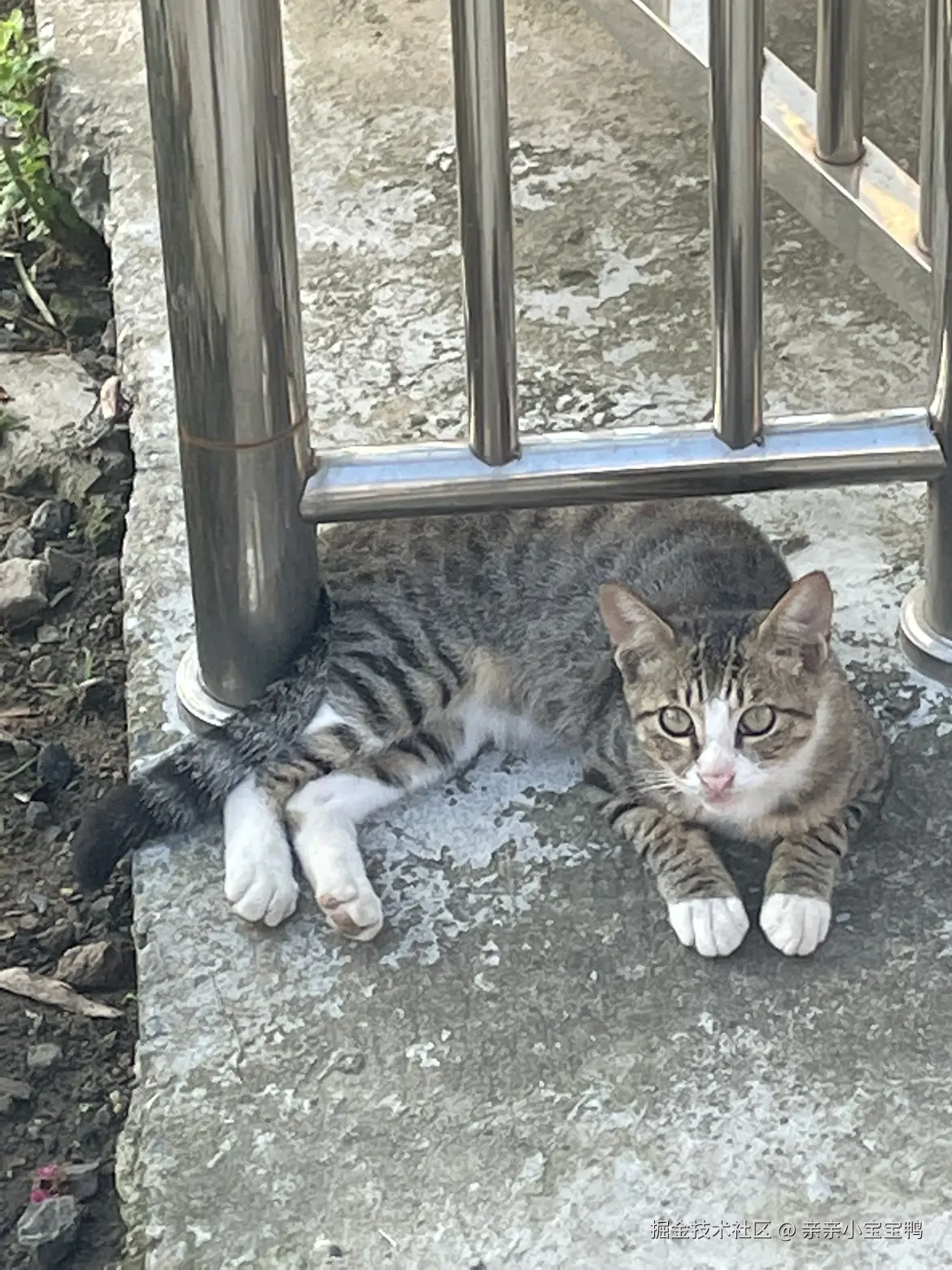 亲亲小宝宝鸭于2025-10-11 15:07发布的图片