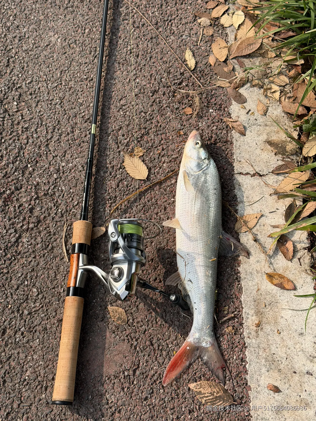 用户5176664086986于2025-11-03 08:52发布的图片