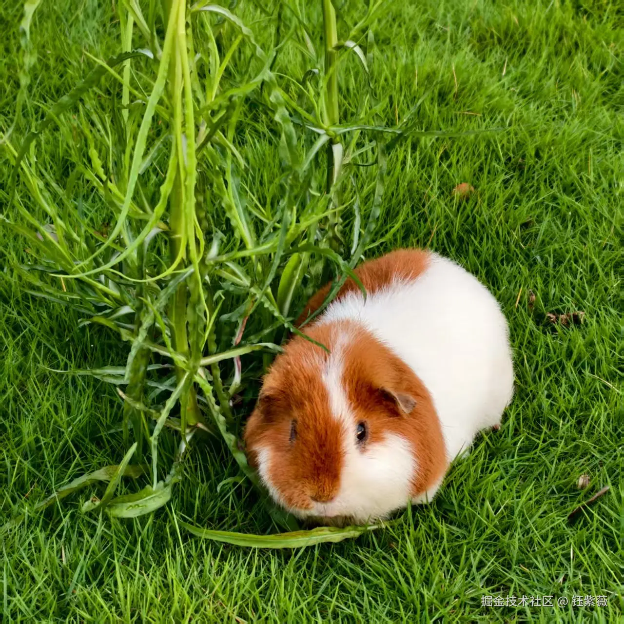 钰紫薇于2025-07-21 14:04发布的图片