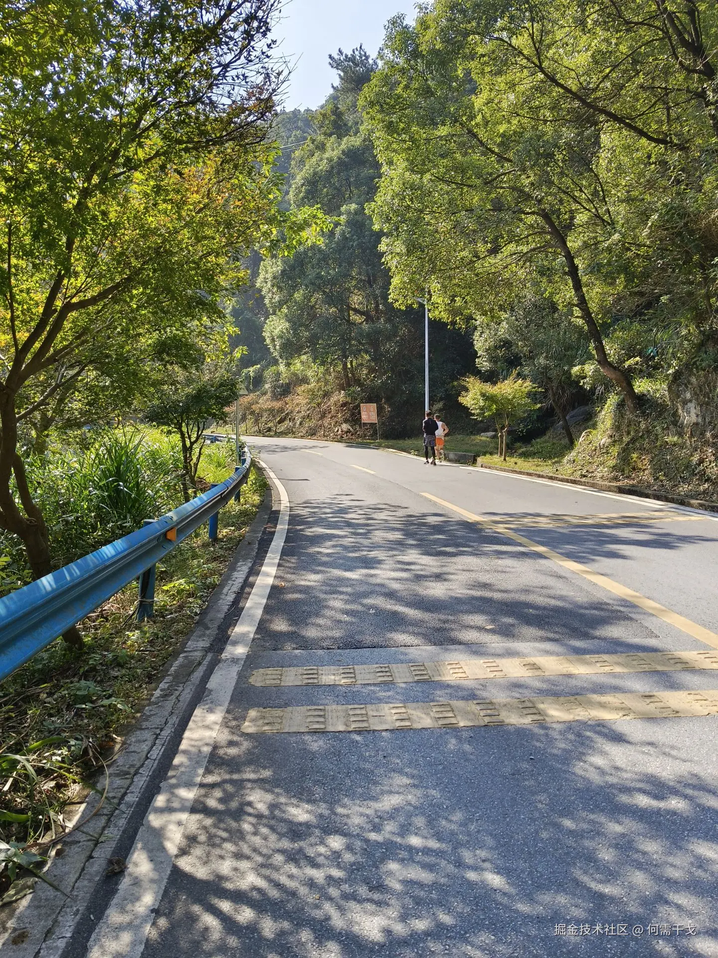 何需干戈于2024-11-03 22:17发布的图片