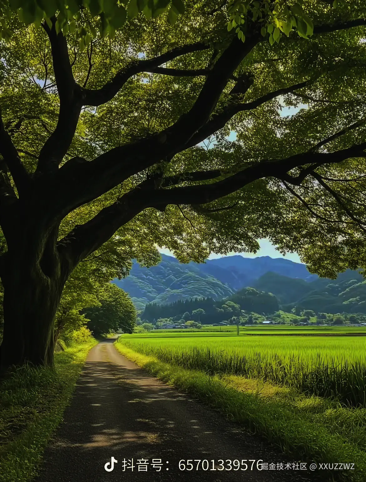 XXUZZWZ于2025-03-28 11:57发布的图片