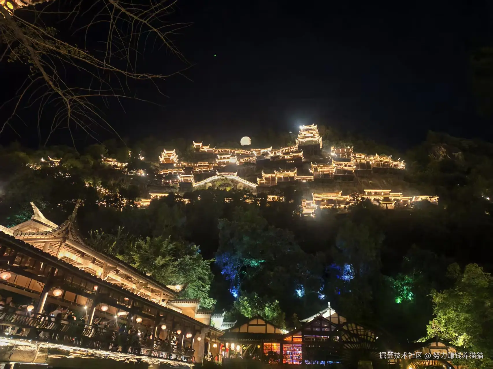 努力赚钱养猫猫于2025-10-23 11:17发布的图片