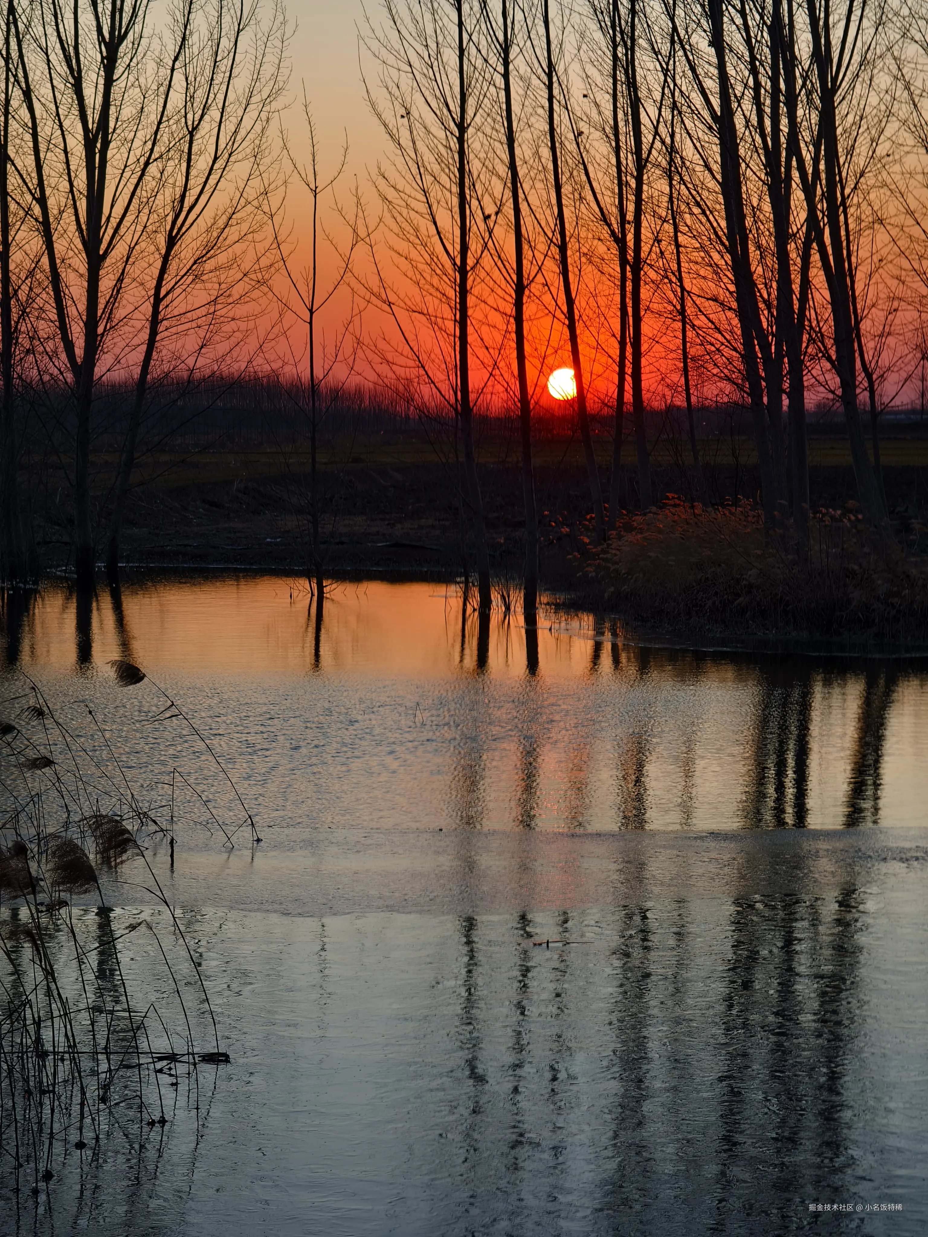 小名饭特稀于2025-02-10 17:44发布的图片