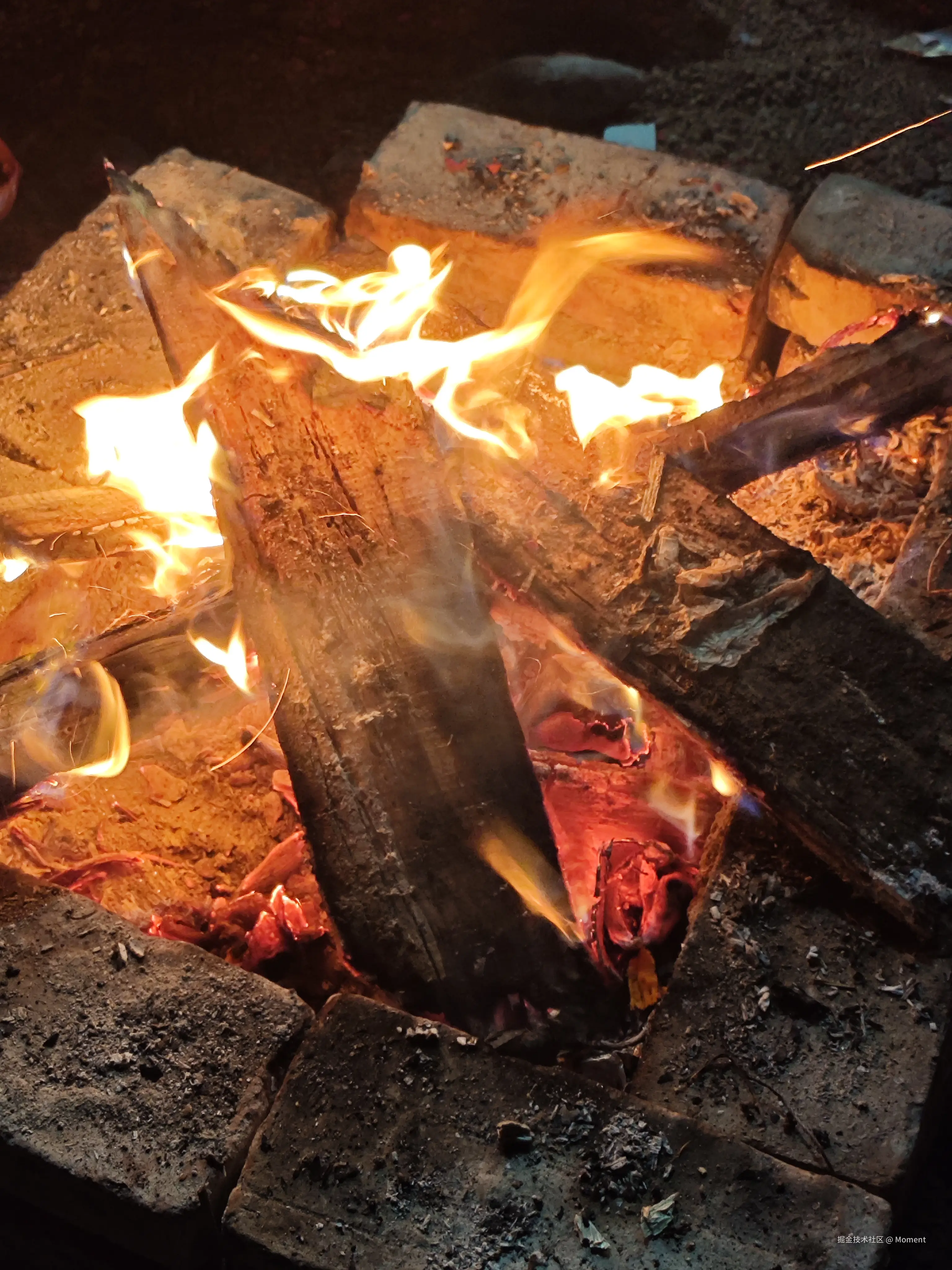 Moment于2025-02-05 17:45发布的图片