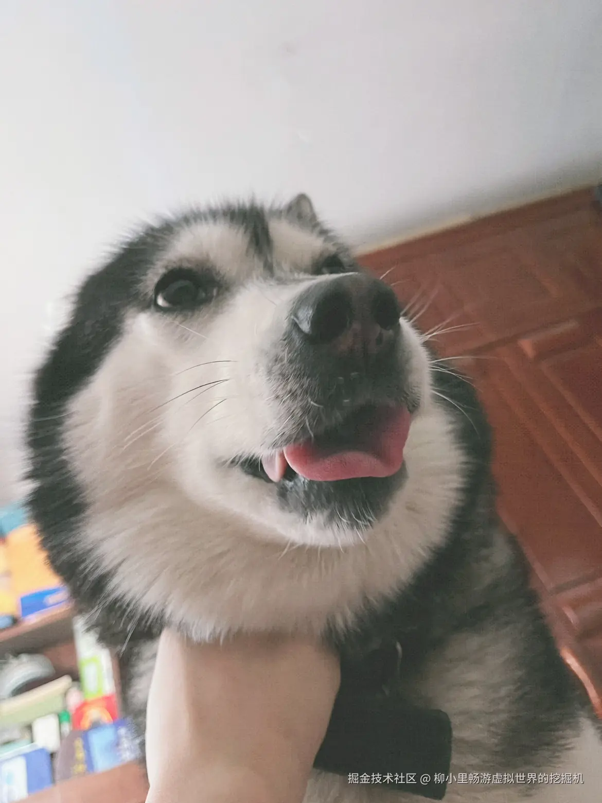 柳小里畅游虚拟世界的挖掘机于2025-11-27 02:58发布的图片