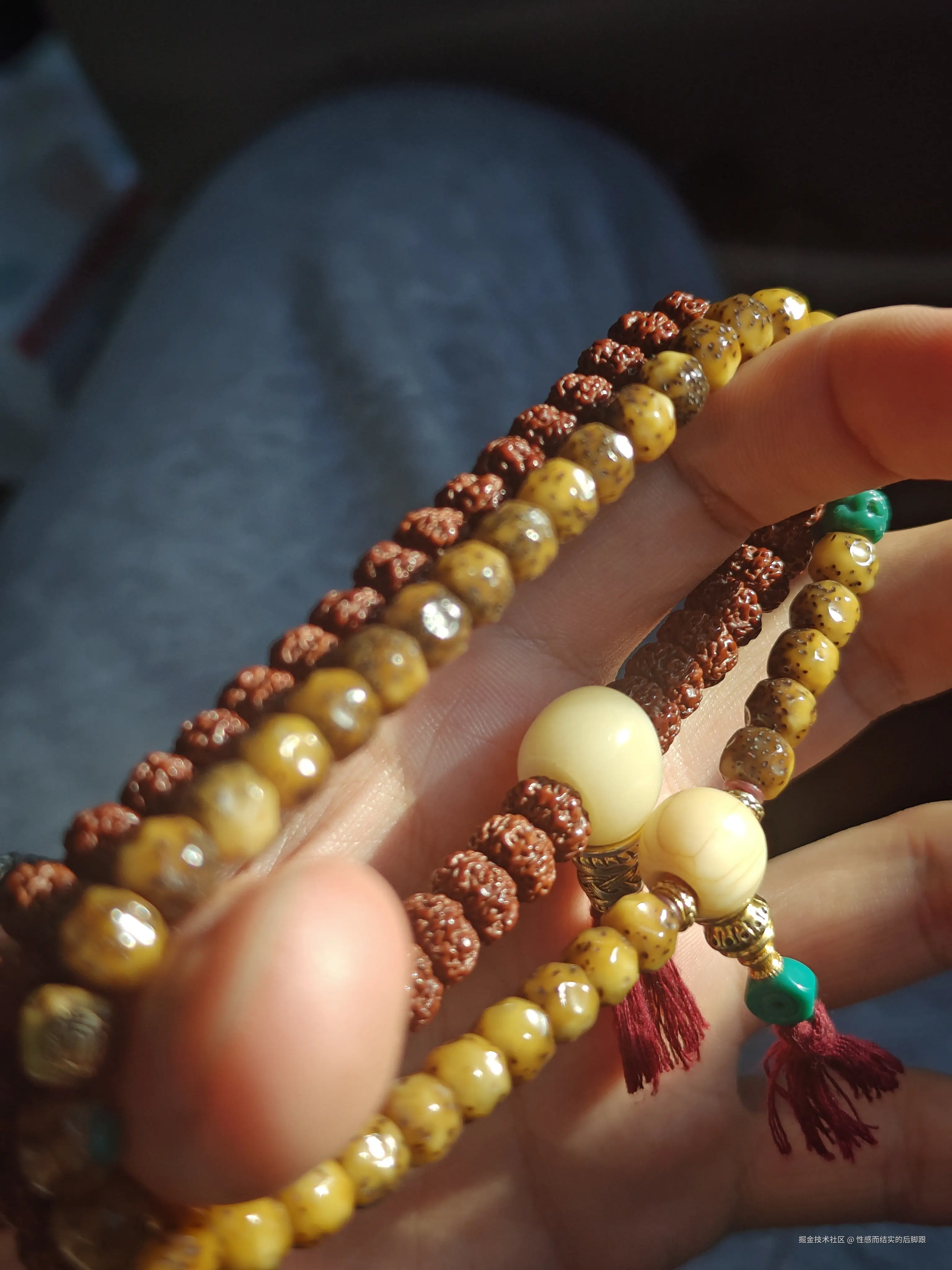 性感而结实的后脚跟于2025-04-08 17:37发布的图片