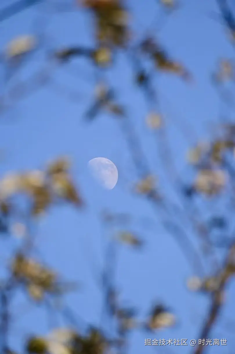 时光离世于2025-12-01 10:34发布的图片