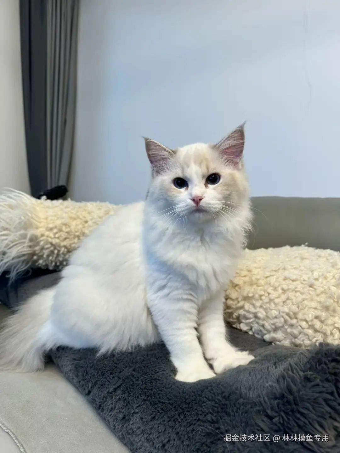 林林摸鱼专用于2024-09-27 09:46发布的图片