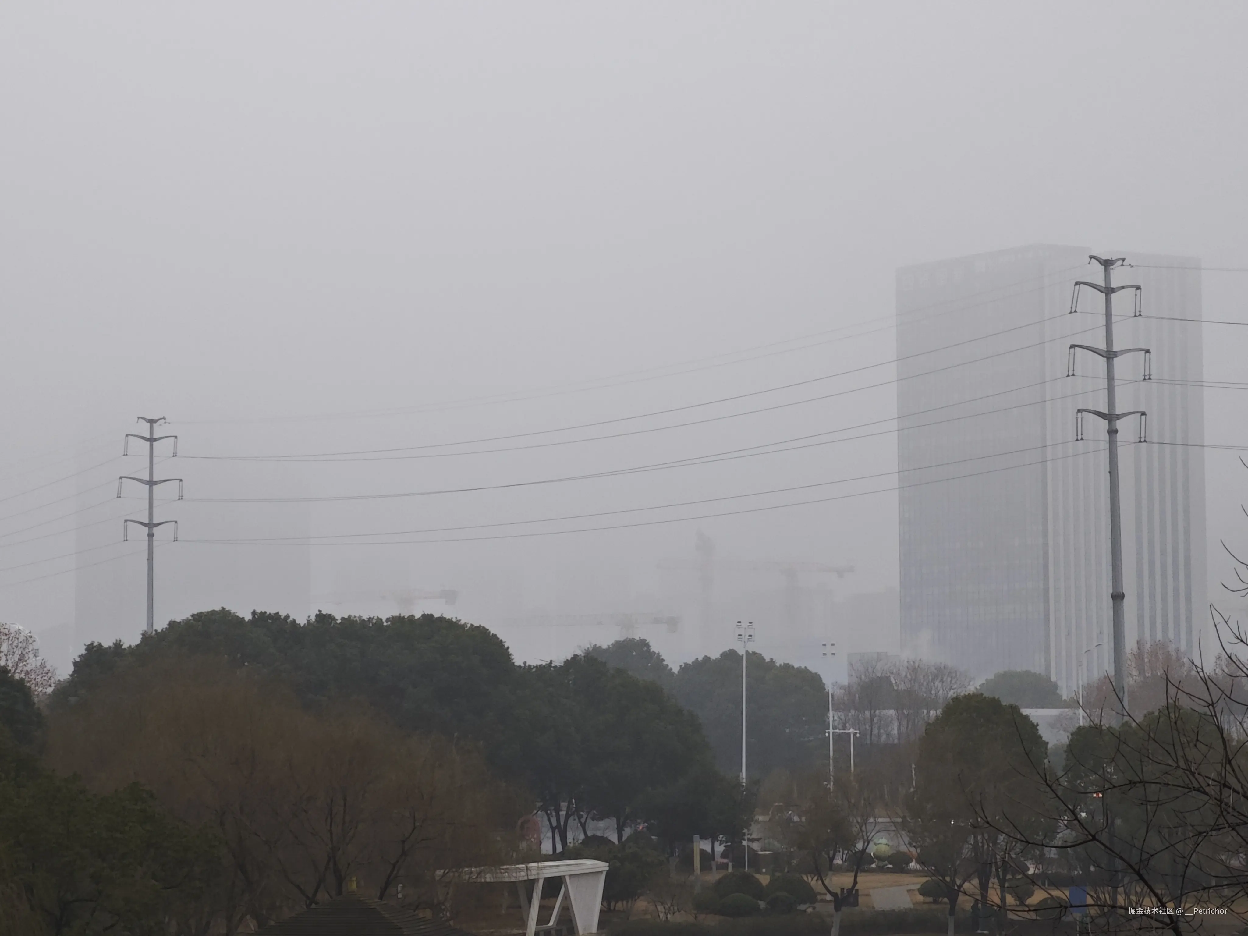 __Petrichor于2026-01-26 14:53发布的图片