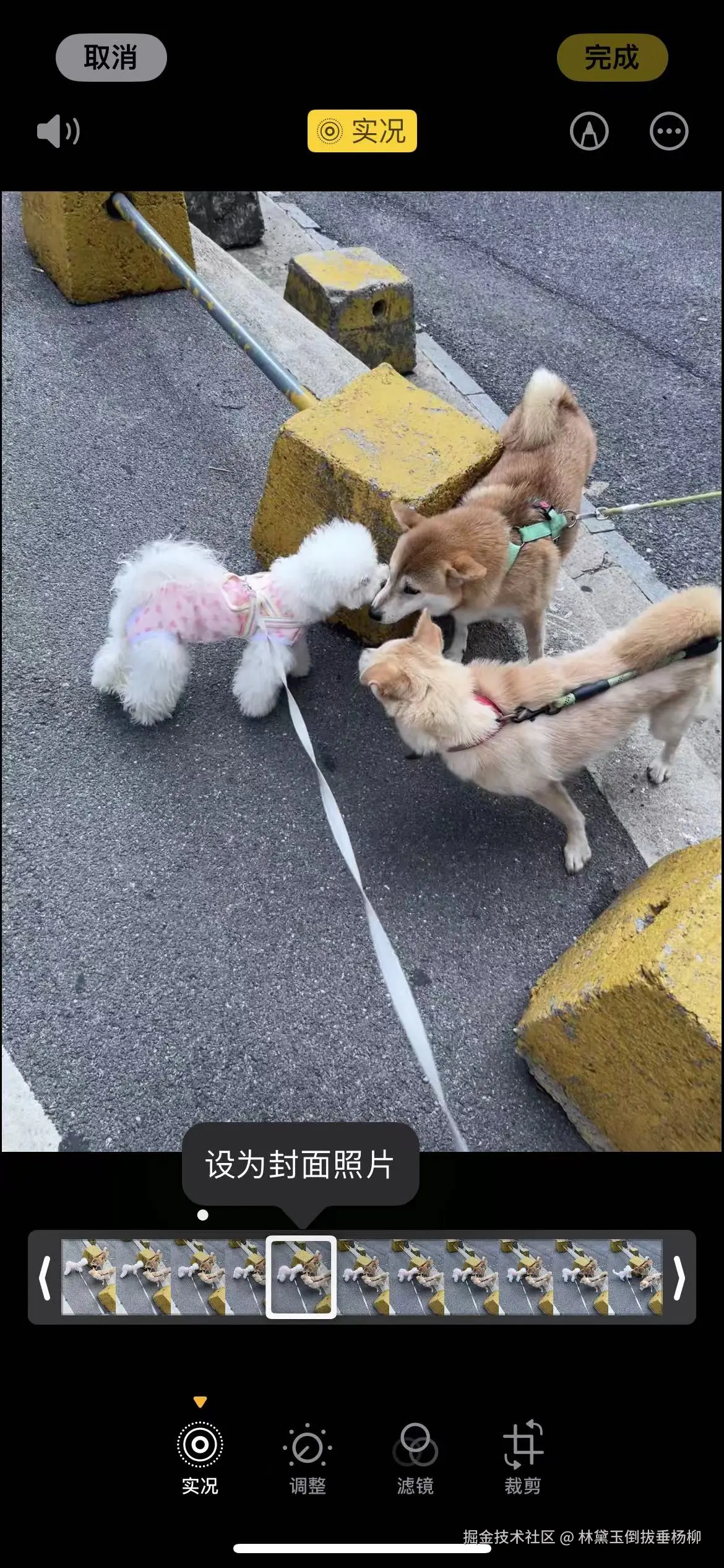 林黛玉倒拔垂杨柳于2024-09-02 13:58发布的图片