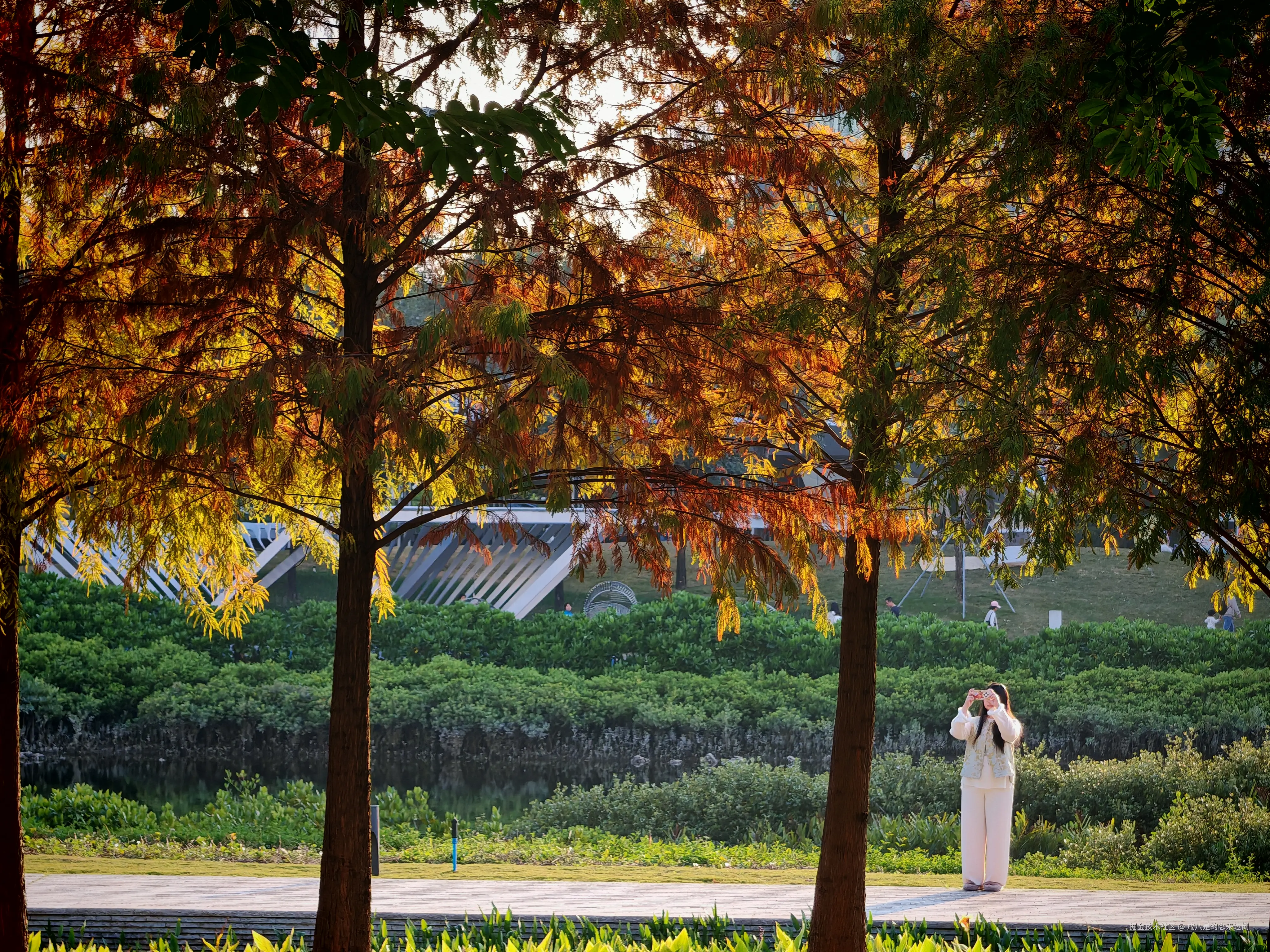 戒八是的念来过倒于2026-01-18 19:26发布的图片