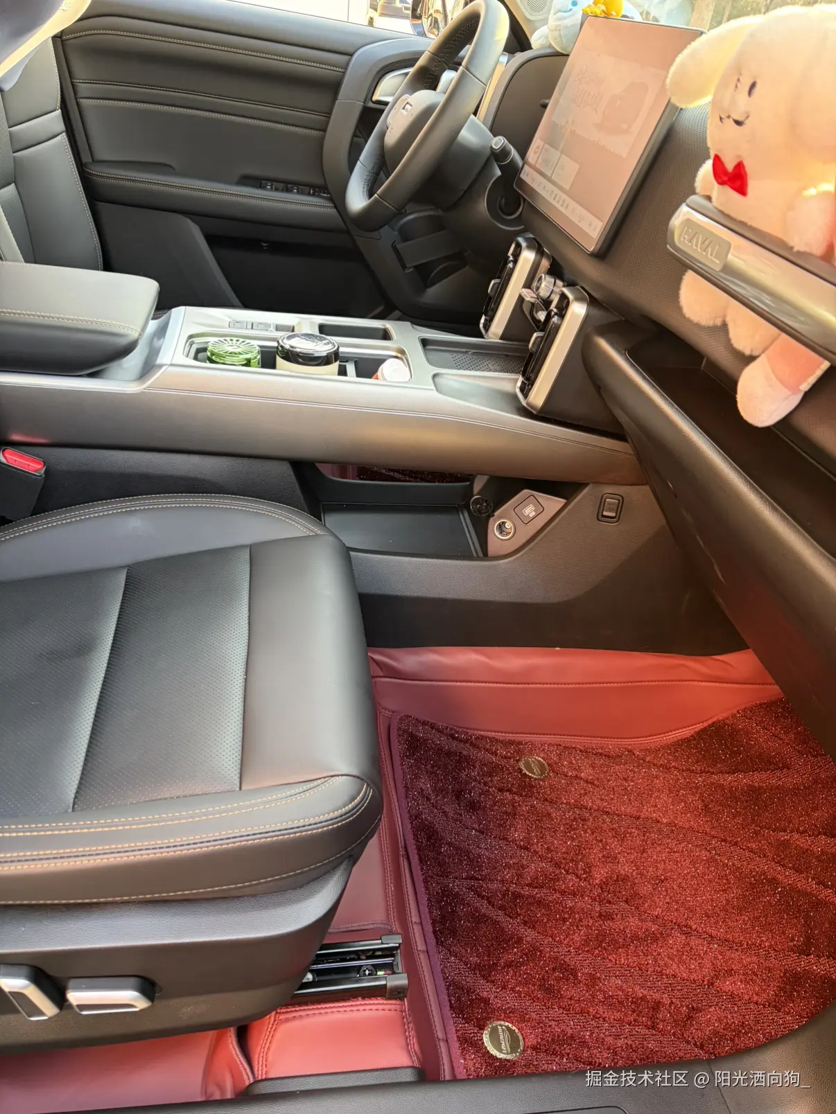 阳光洒向狗_于2026-01-23 14:50发布的图片