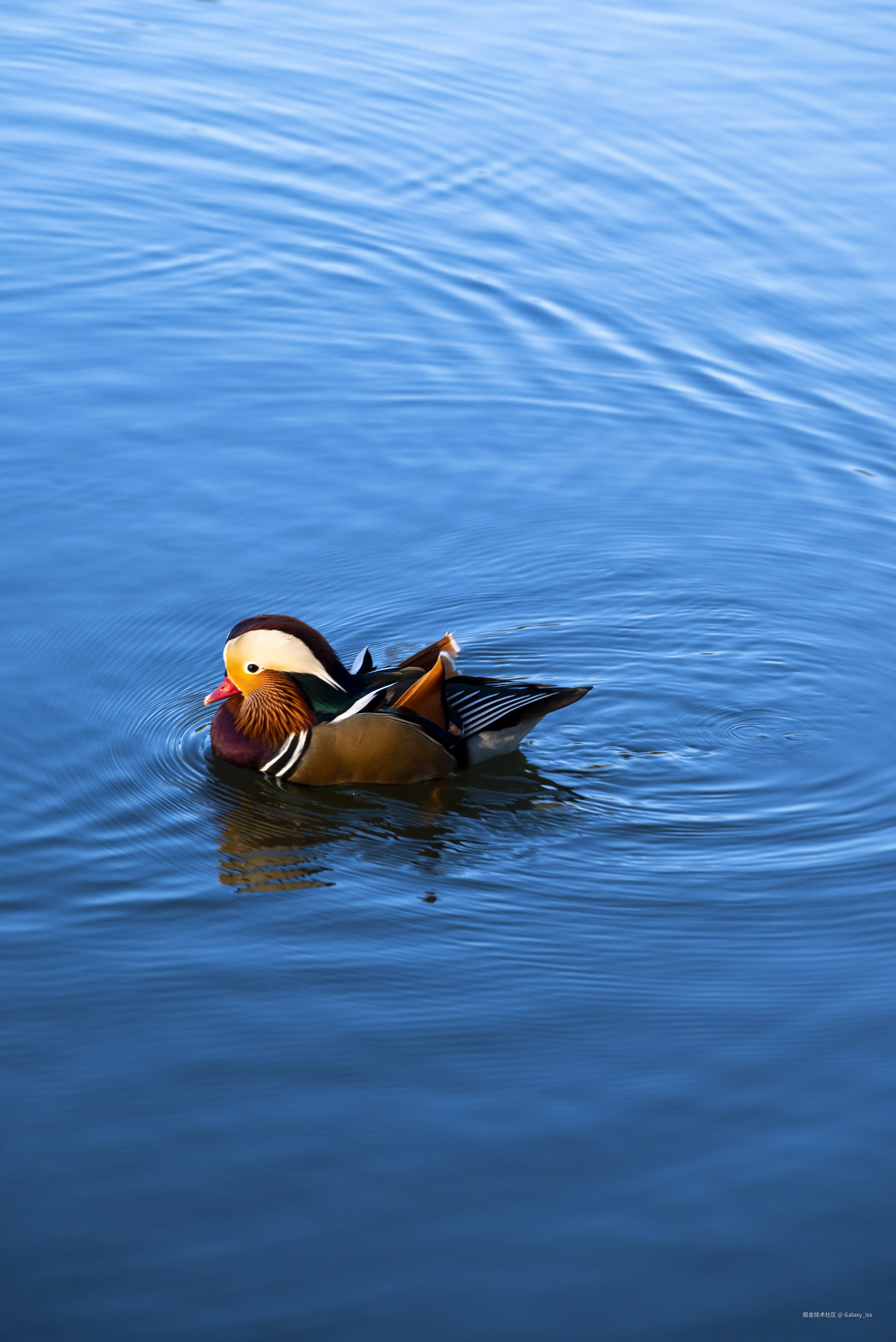 Galaxy_iss于2024-10-30 04:34发布的图片