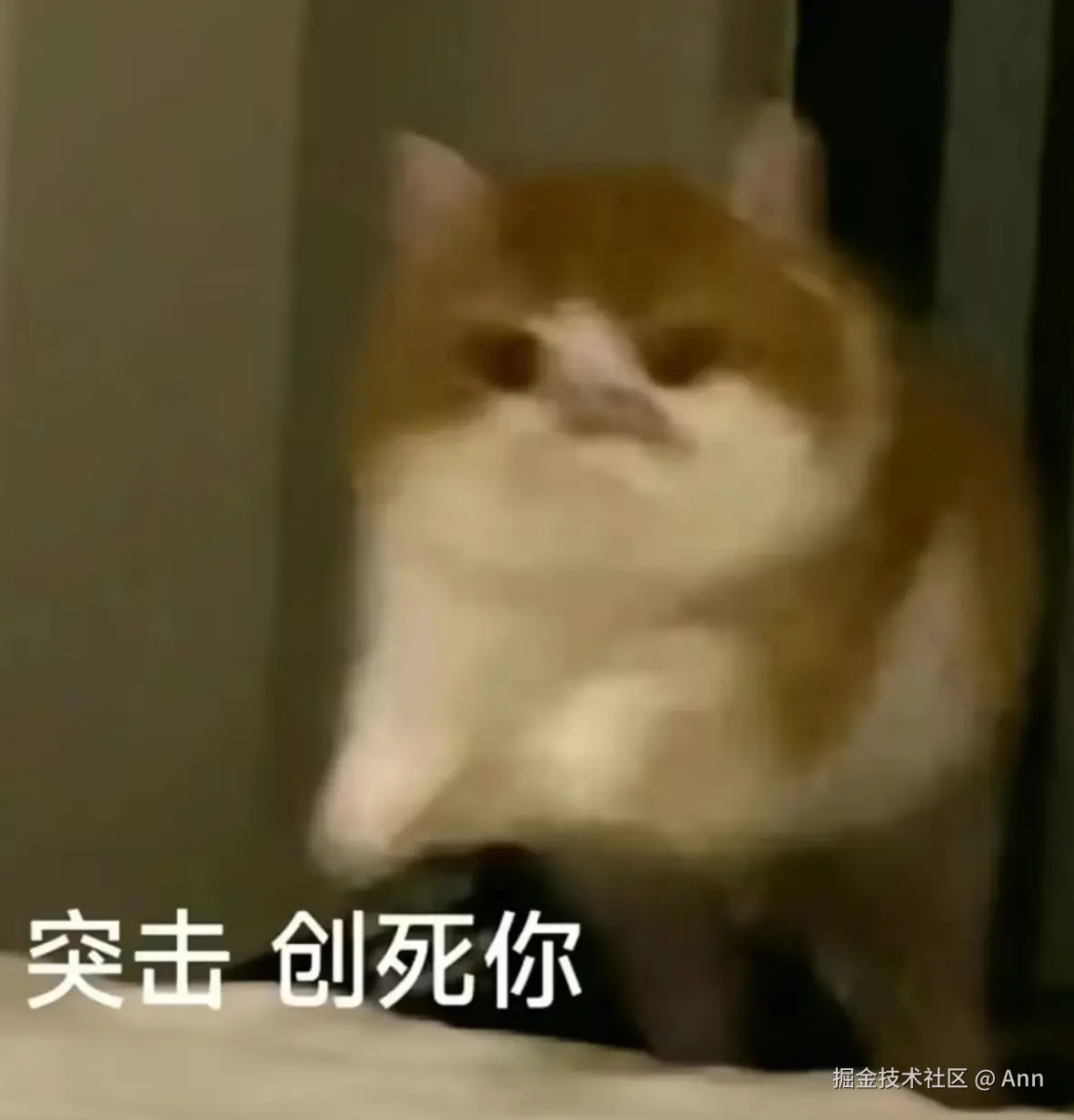 Ann于2024-11-20 16:31发布的图片