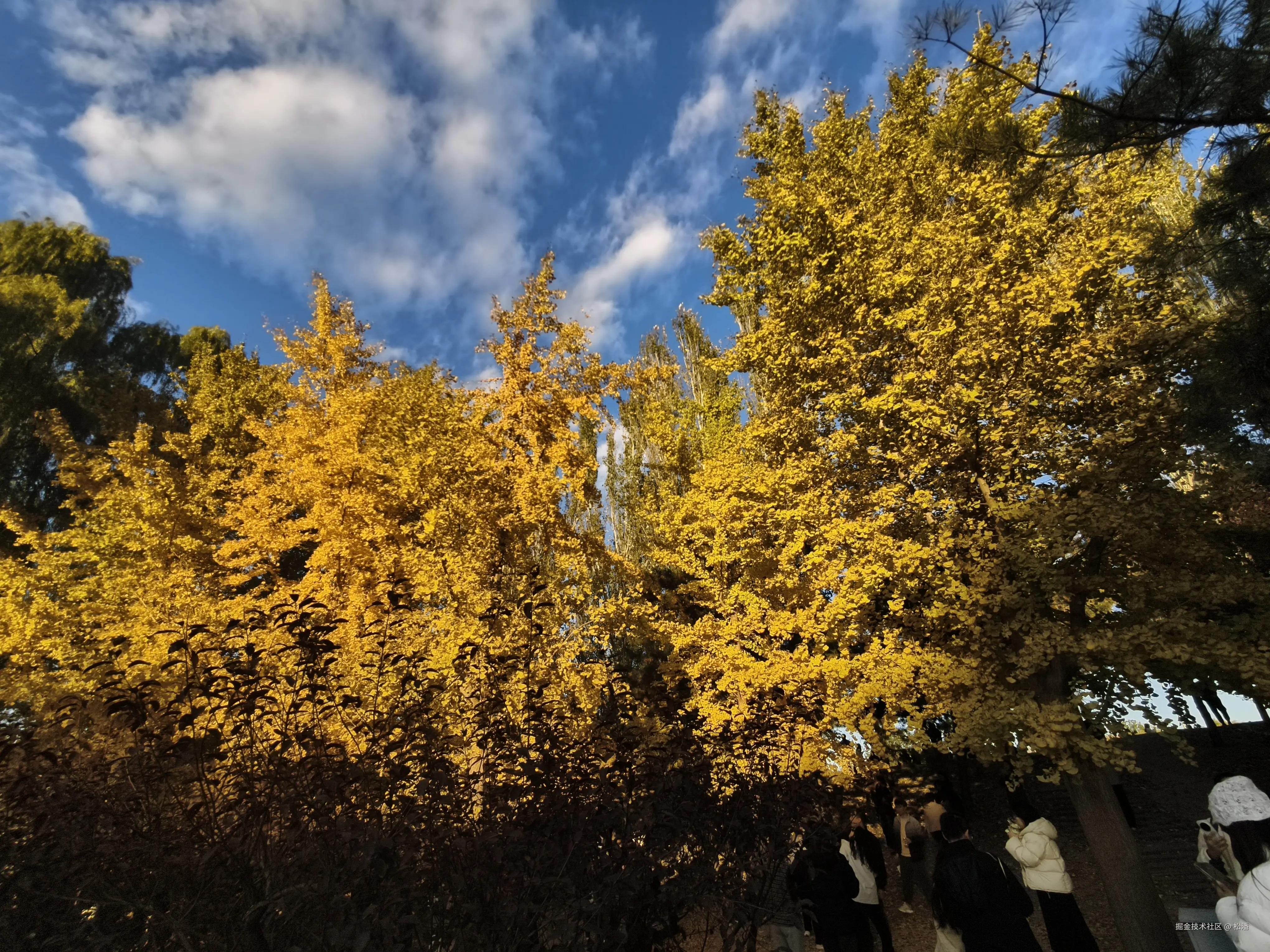 松潘于2025-11-03 01:53发布的图片