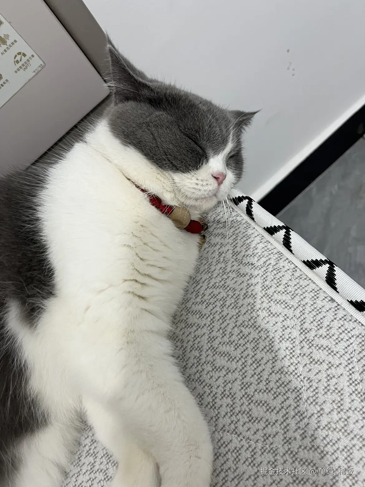 单纯_稀饭于2024-07-17 06:41发布的图片