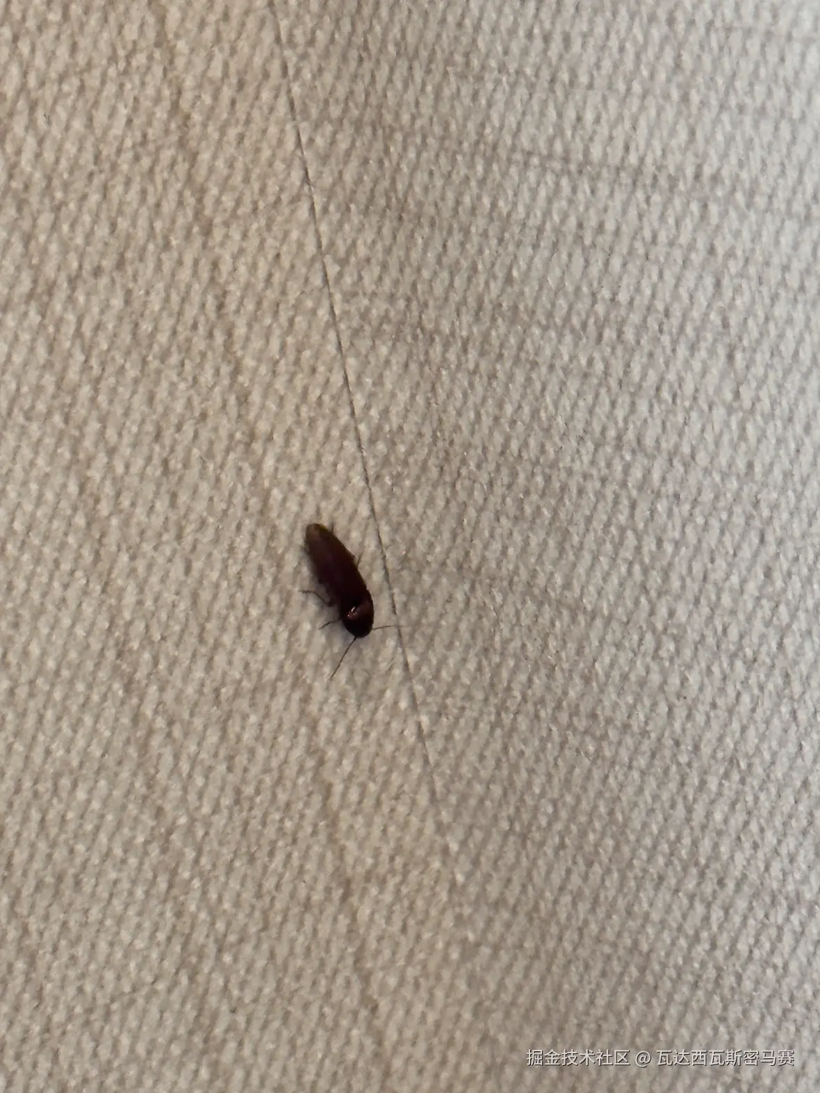 瓦达西瓦斯密马赛于2025-06-19 17:29发布的图片