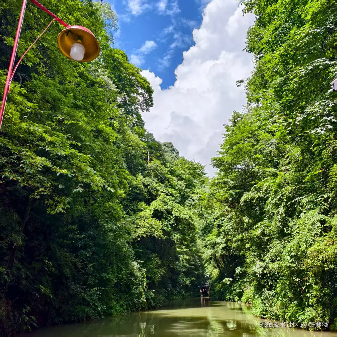 钰紫薇于2025-07-28 09:17发布的图片