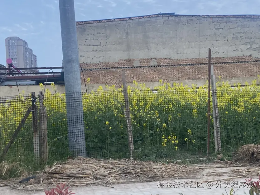 外卖程序媛于2026-03-28 18:31发布的图片