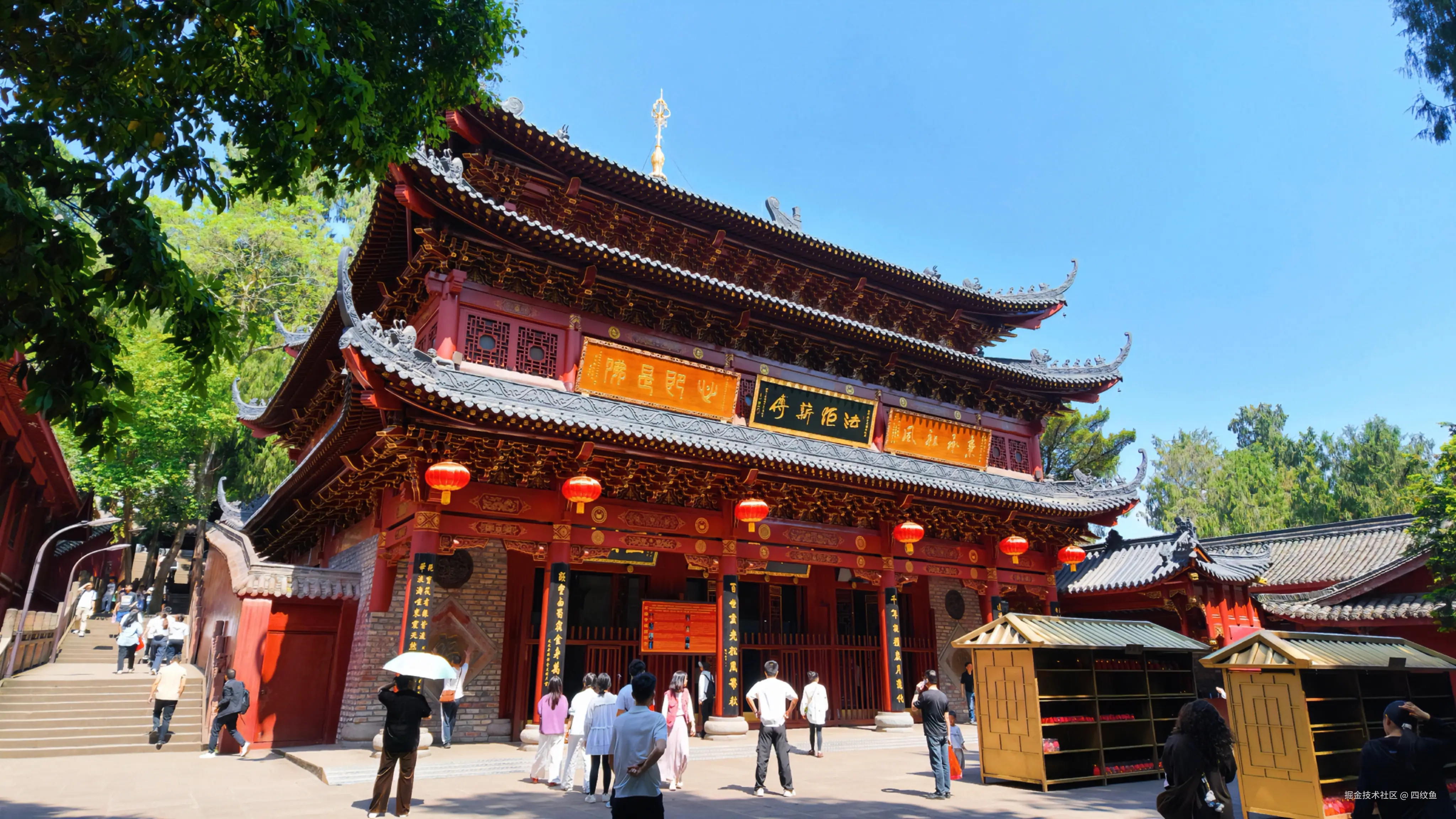 四纹鱼于2026-04-20 09:56发布的图片