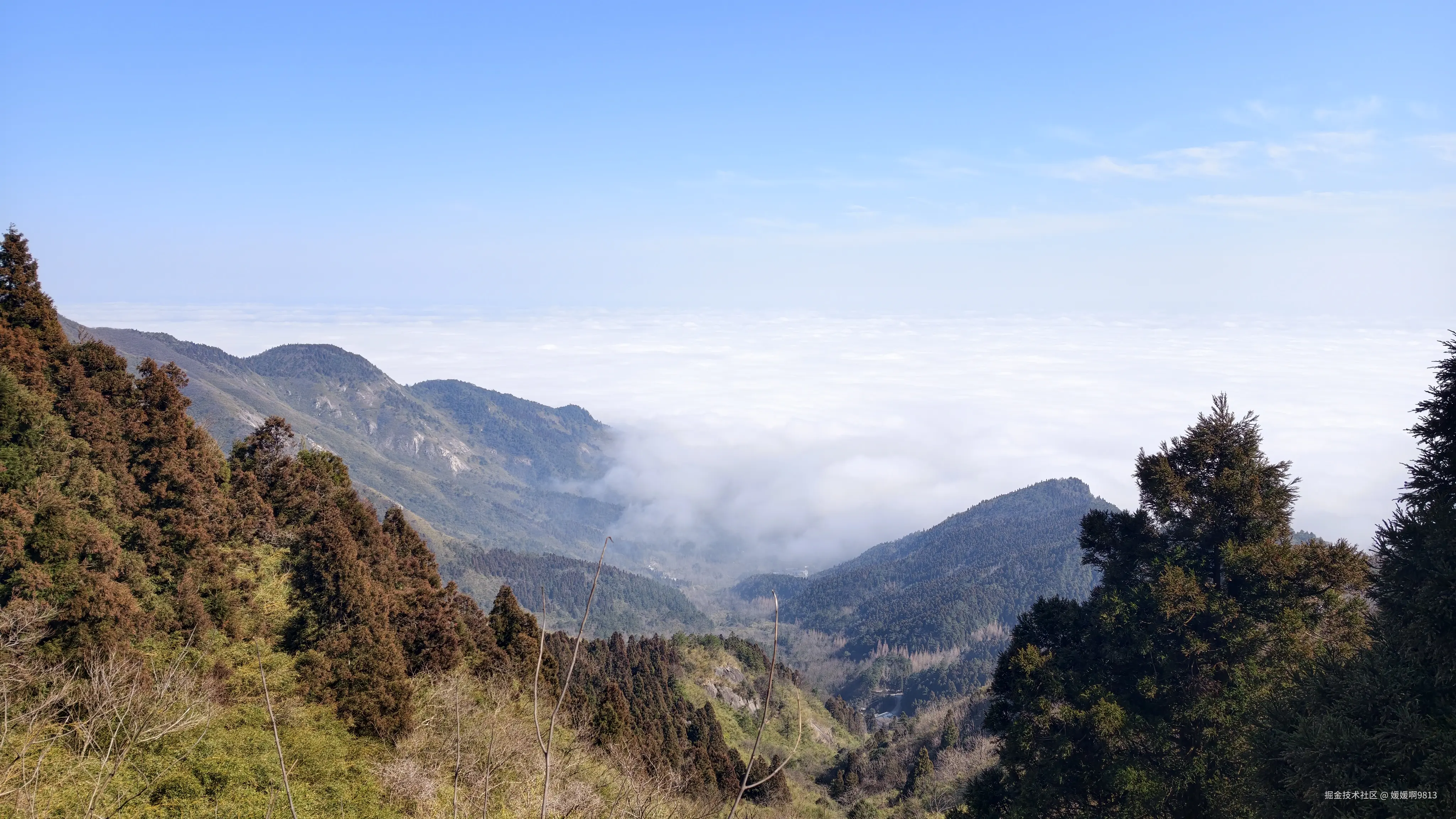 媛媛啊9813于2026-02-21 09:58发布的图片