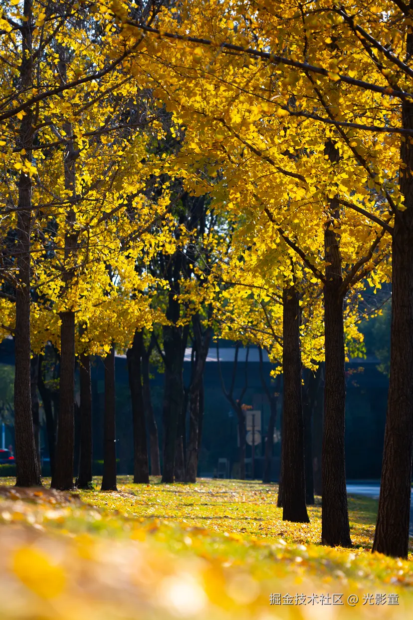 光影童于2025-11-28 10:03发布的图片