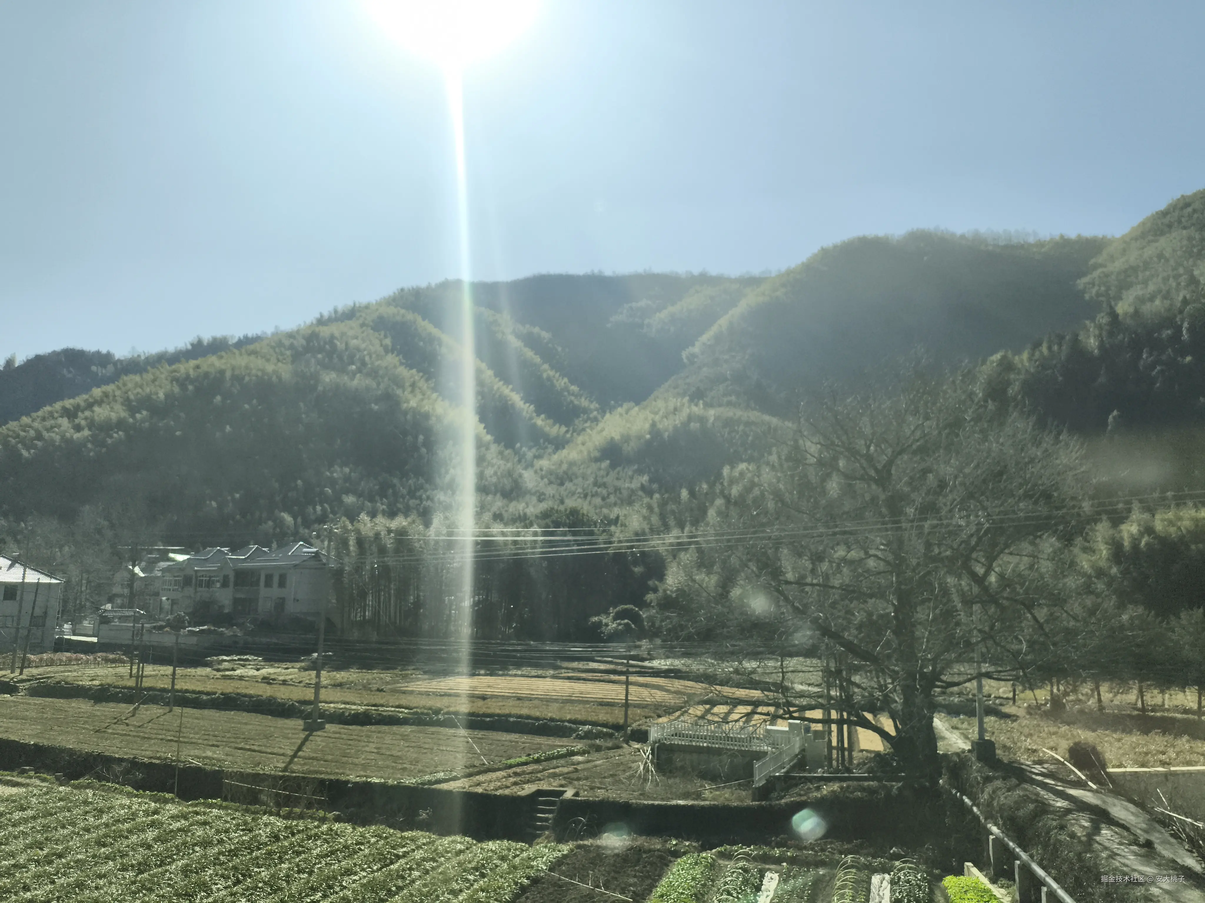 安大桃子于2025-02-08 10:18发布的图片