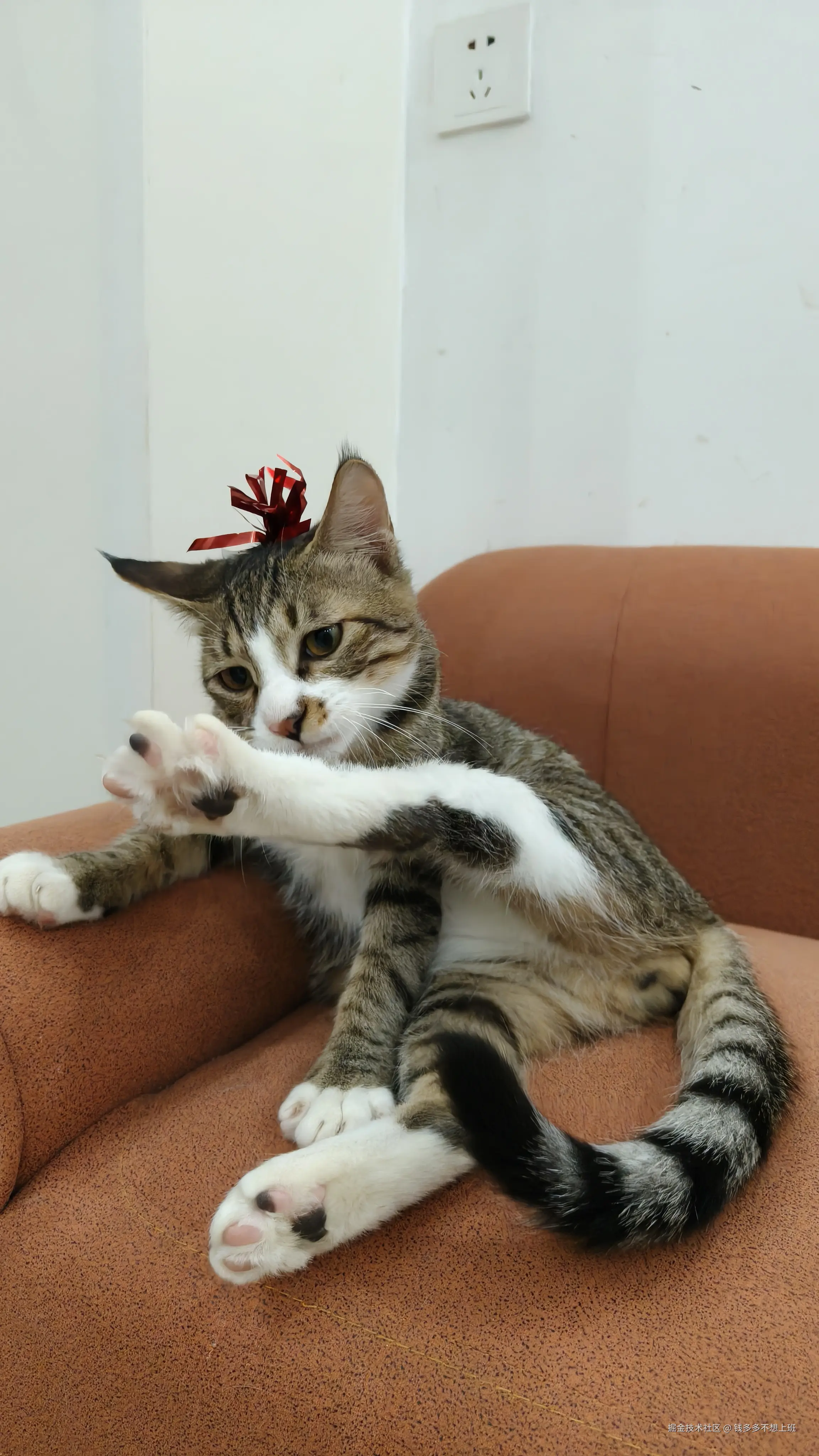 钱多多不想上班于2025-10-29 10:22发布的图片