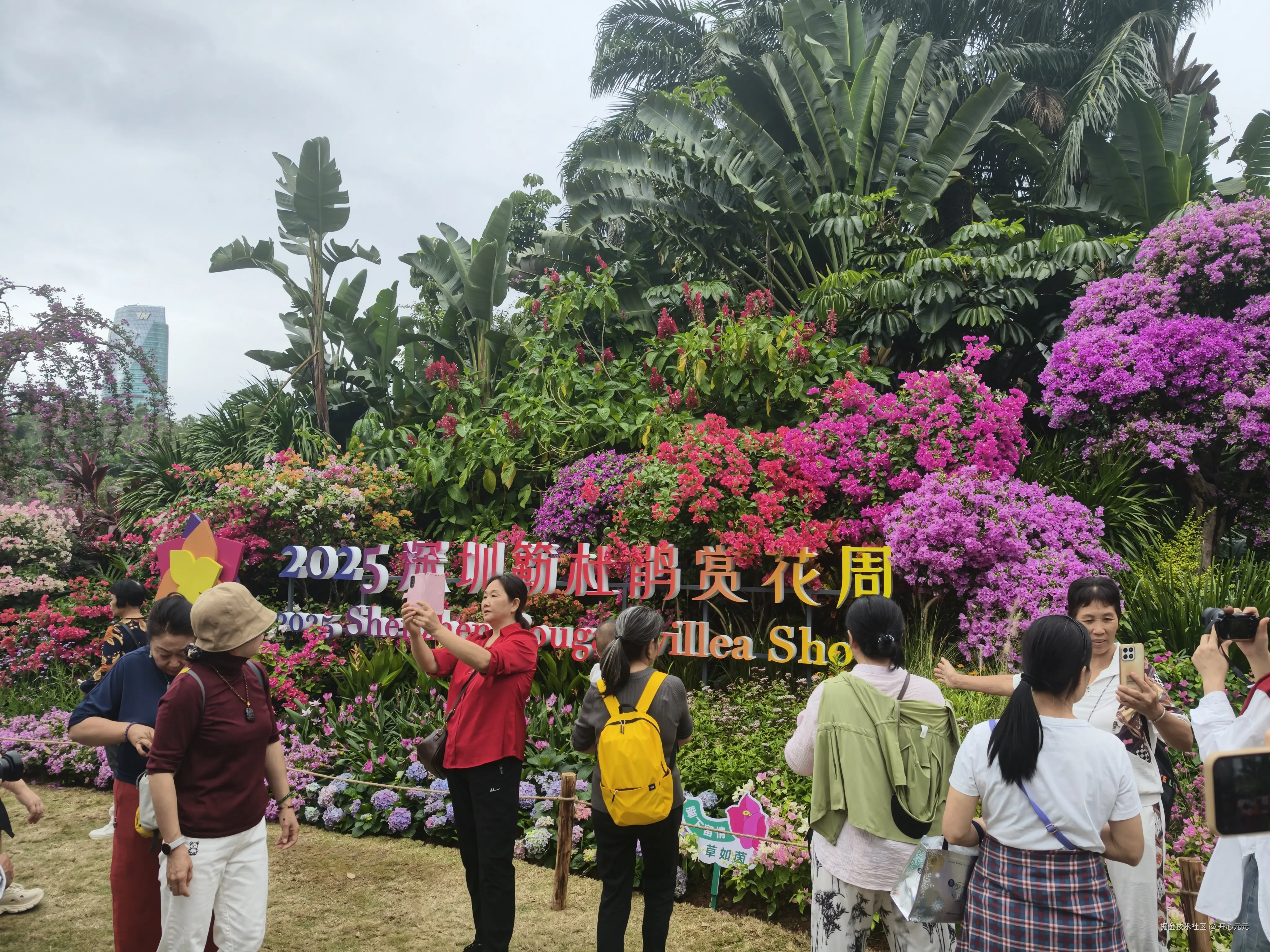 开心元元于2025-11-07 15:11发布的图片