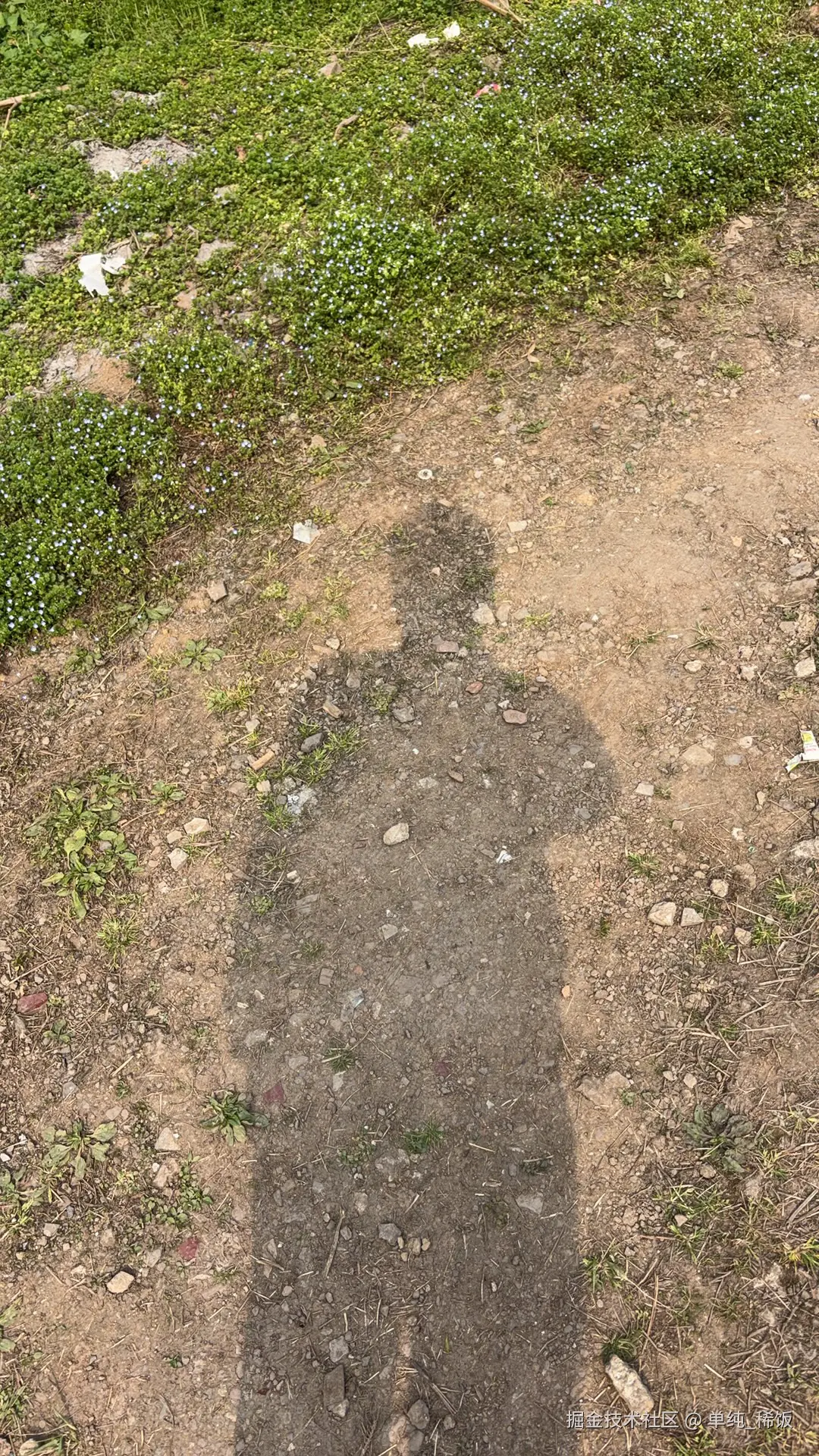 单纯_稀饭于2026-02-27 16:19发布的图片