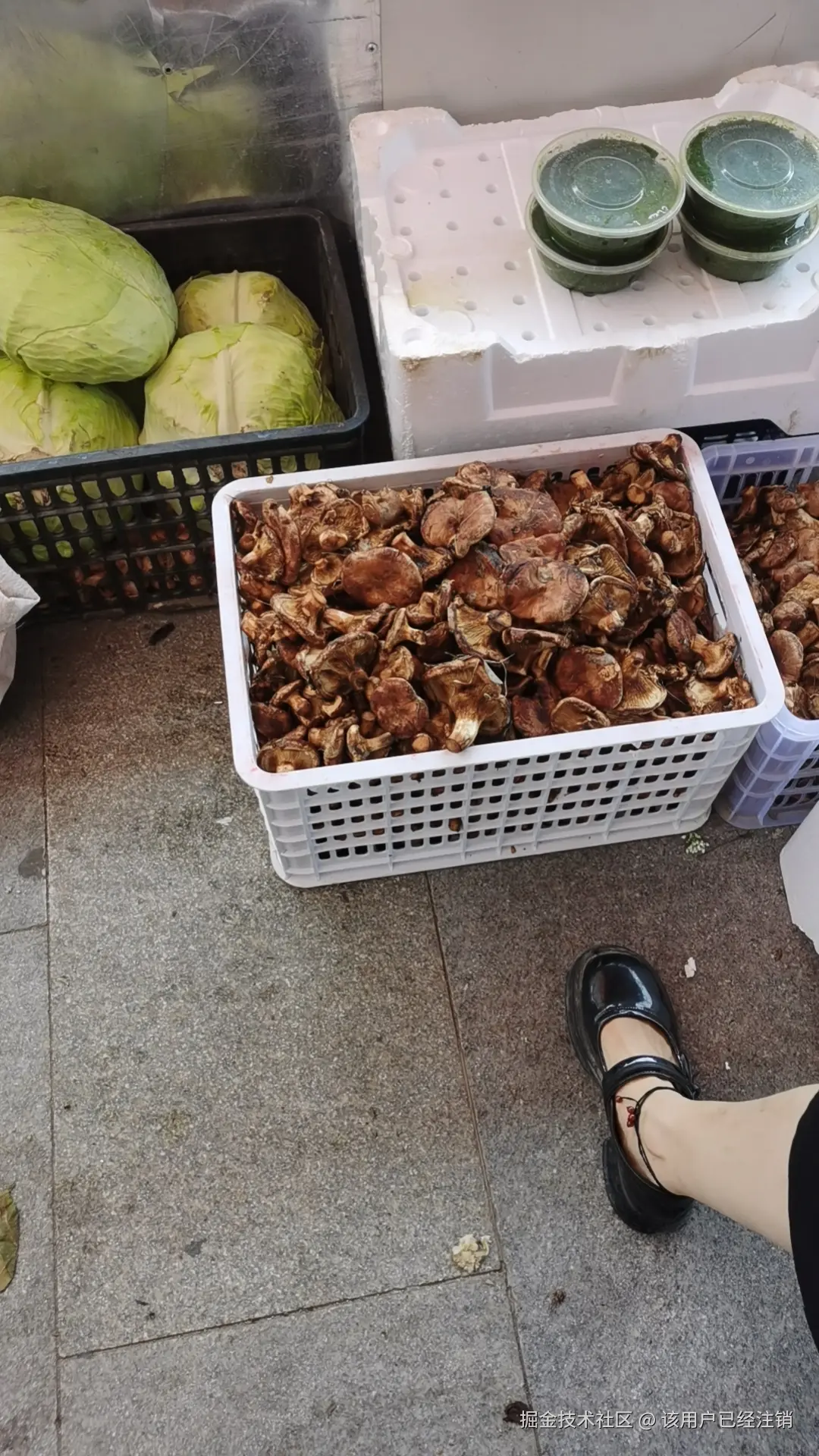 该用户已经注销于2024-08-19 15:40发布的图片