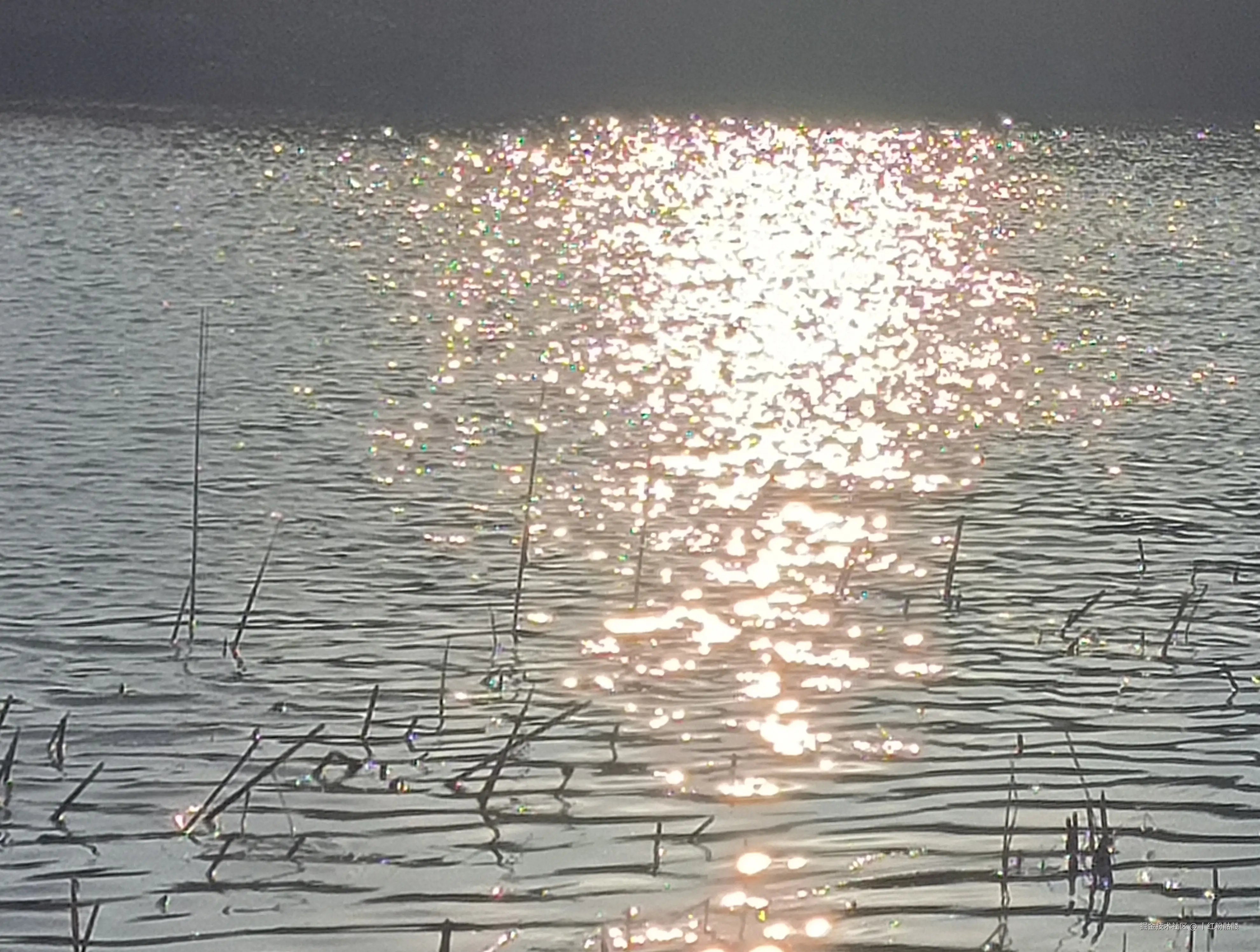 丨红粉骷髅于2025-01-15 15:27发布的图片