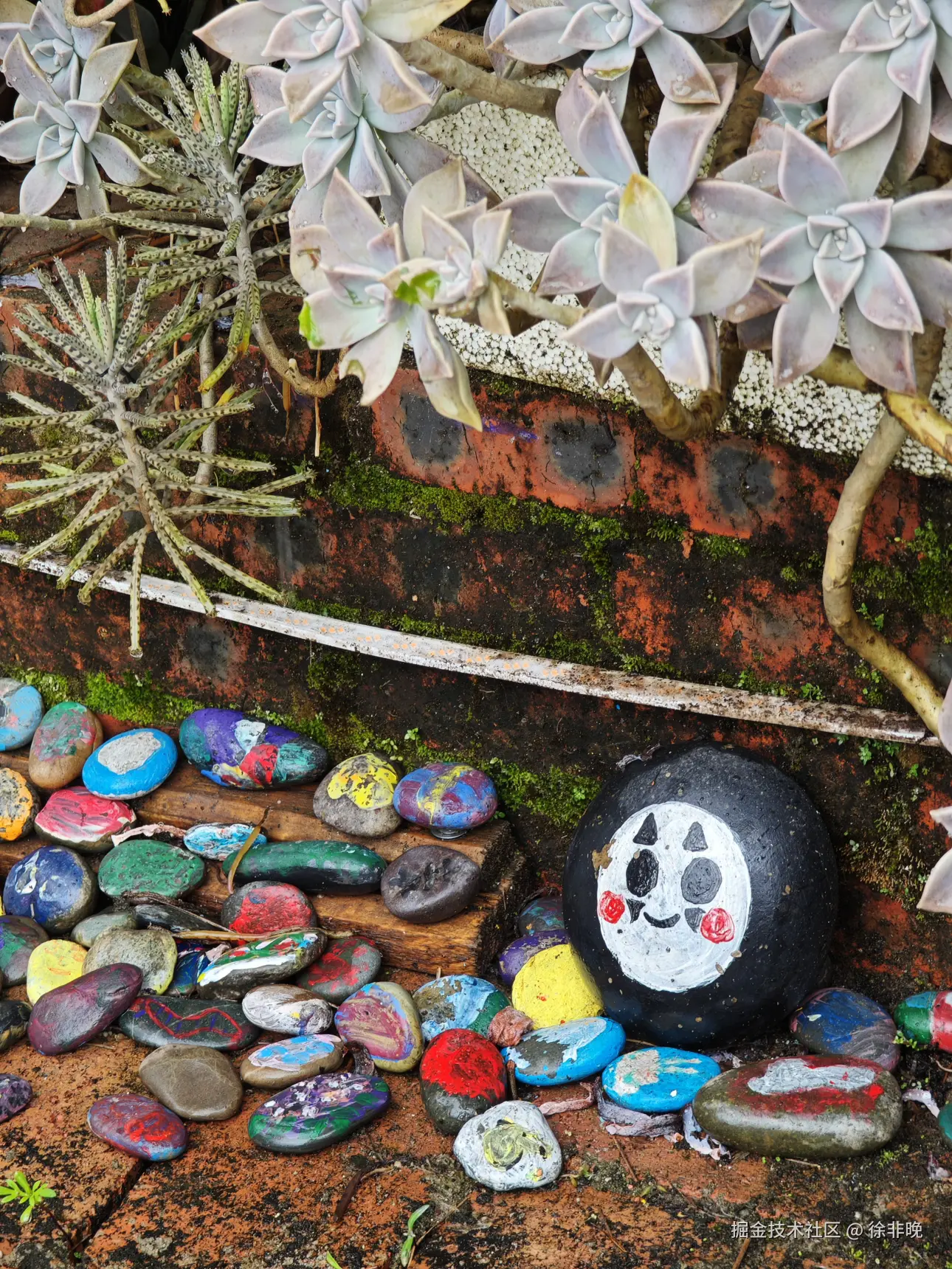 徐非晚于2024-12-03 14:37发布的图片