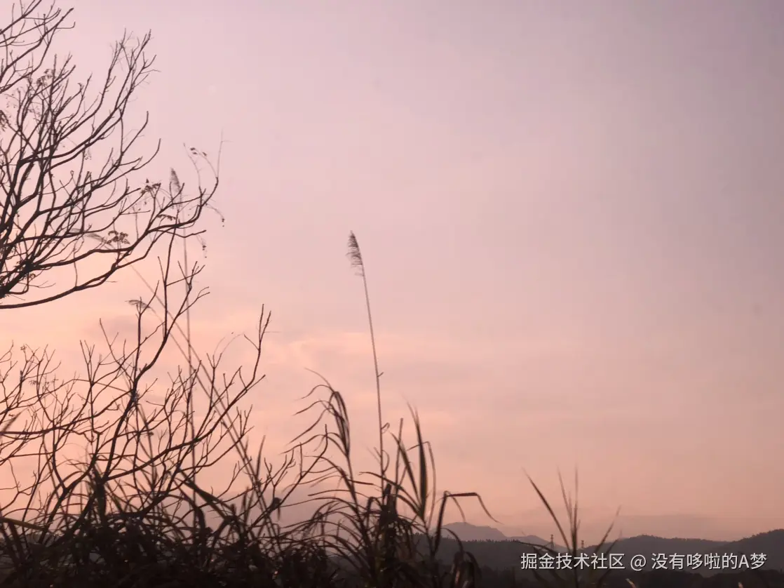 没有哆啦的A梦于2025-02-17 07:16发布的图片