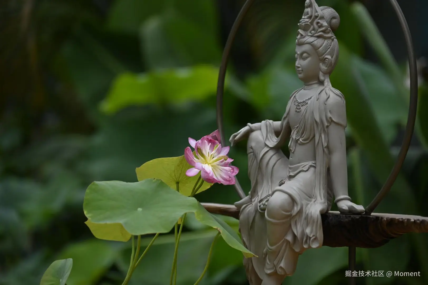 Moment于2025-06-16 14:48发布的图片