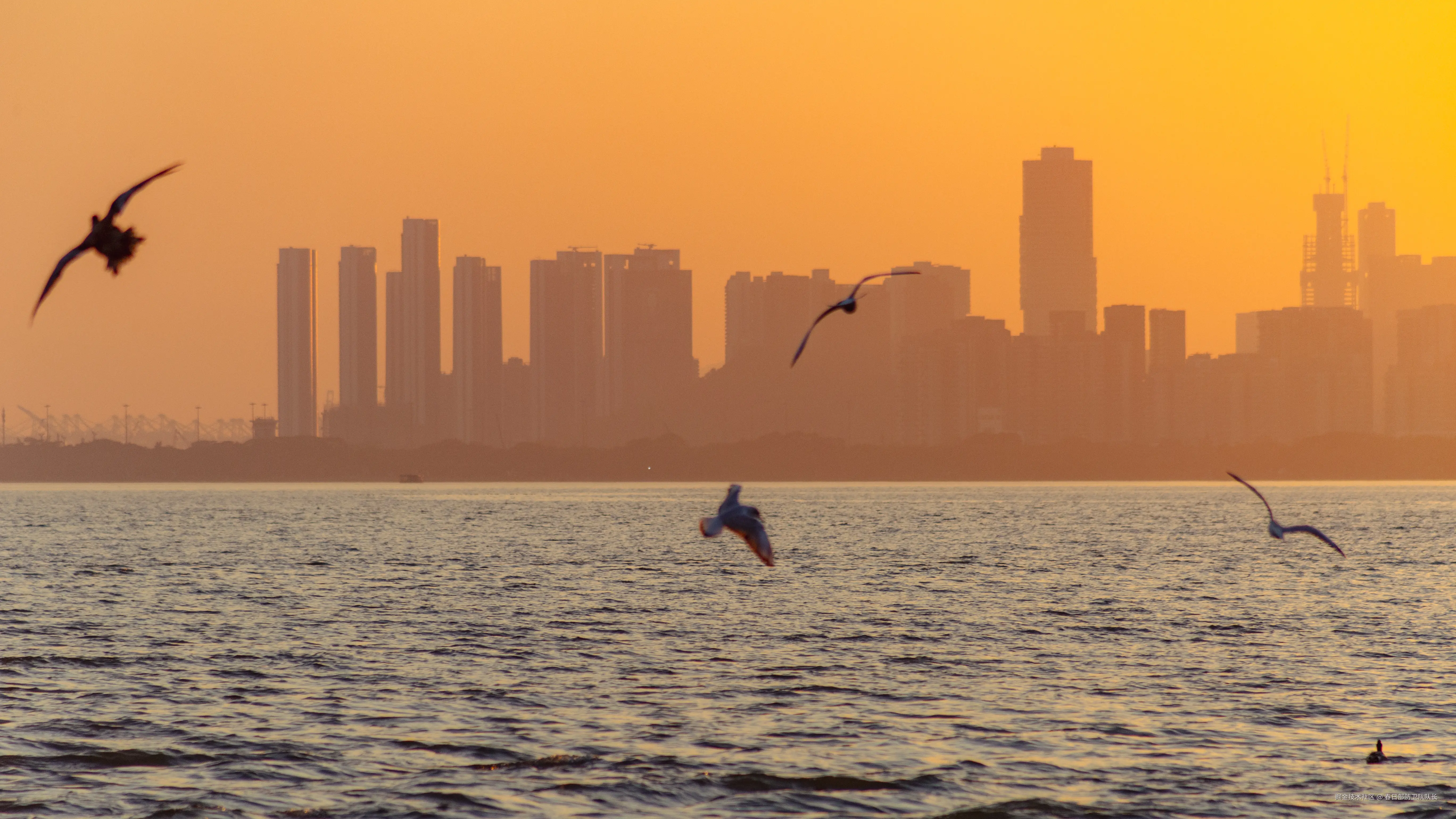 春日部防卫队队长于2024-12-02 09:50发布的图片